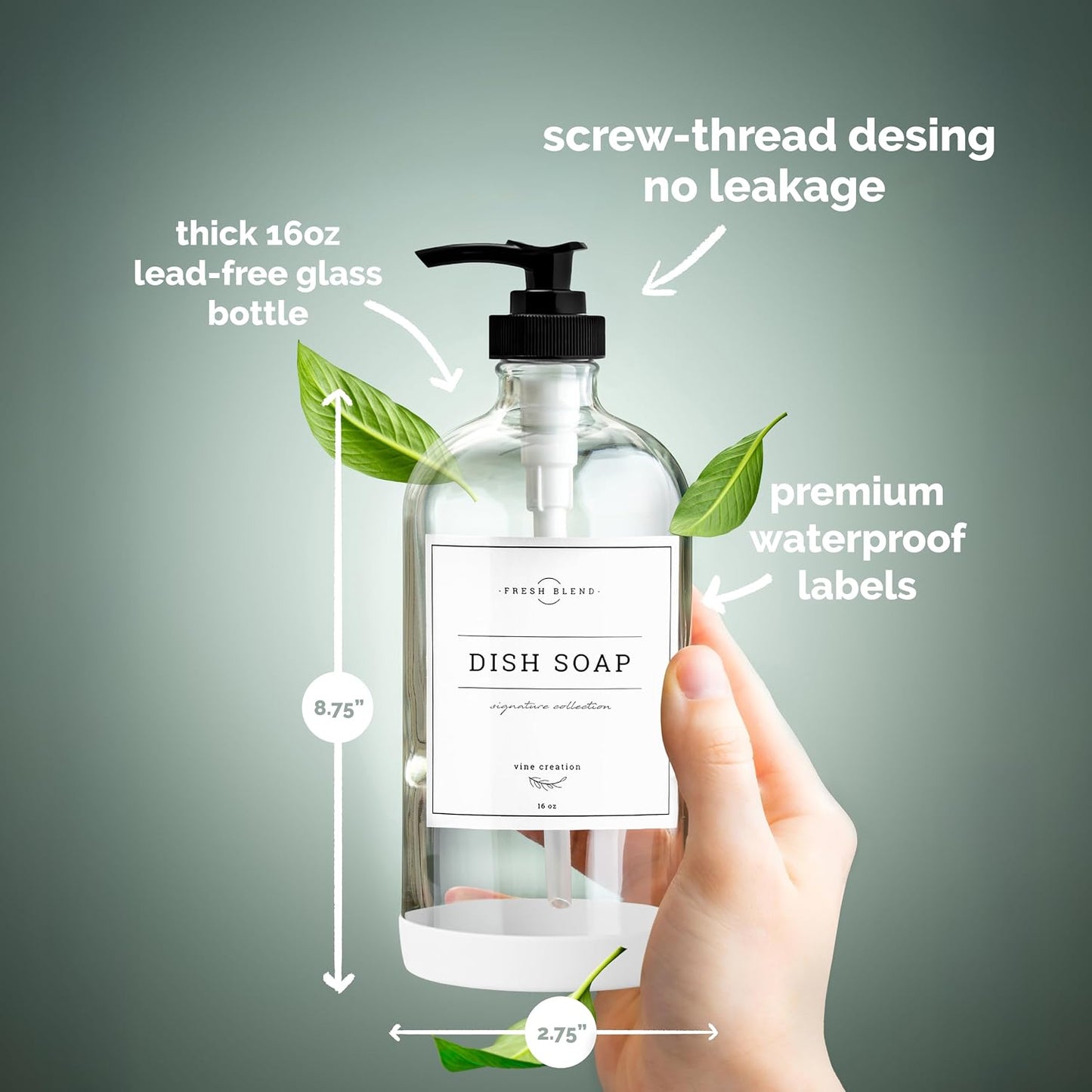 Vine Creations Clear Glass Soap Dispenser, 2 Pack Kitchen Soap Dispenser Set with Rustproof Pump, 16 oz Dish Soap and