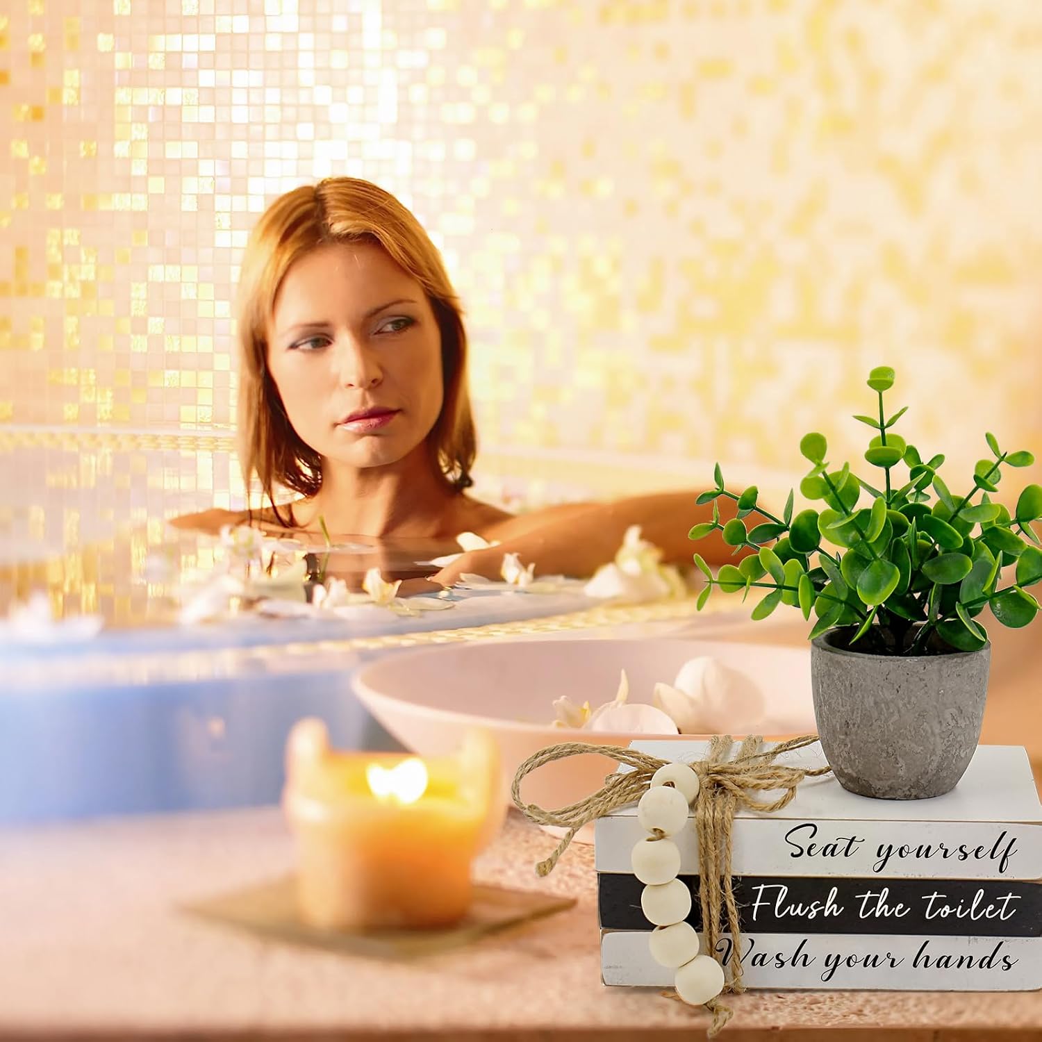 Fake Plants / Book Stack and 3D Round Signs / Flush The Toilet