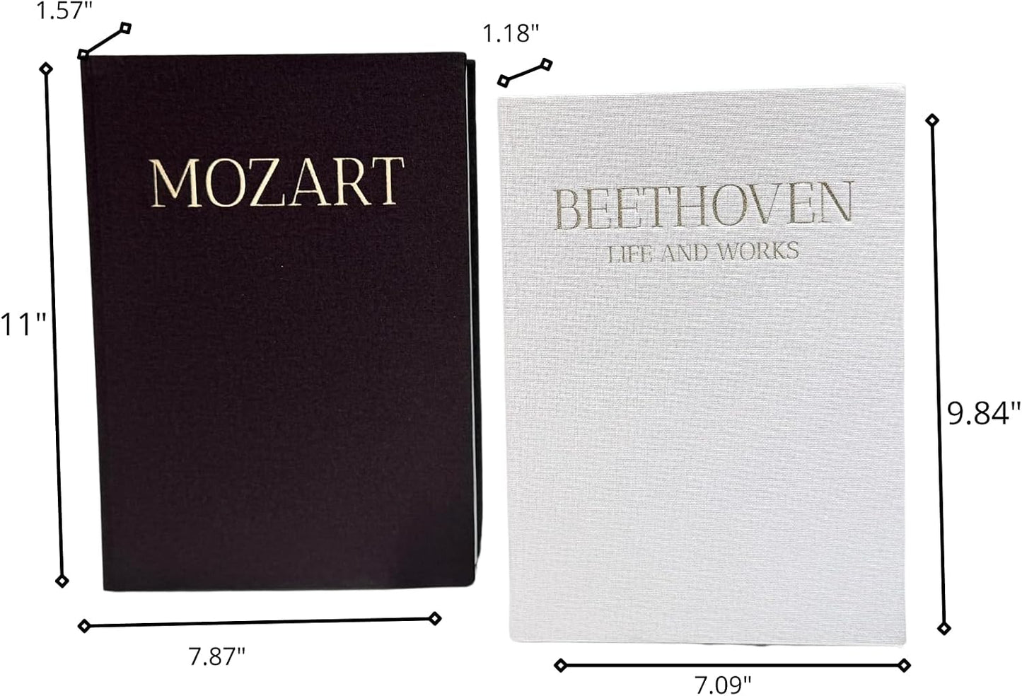 Decorative Books / Bookshelf / Black and White / Set of 2
