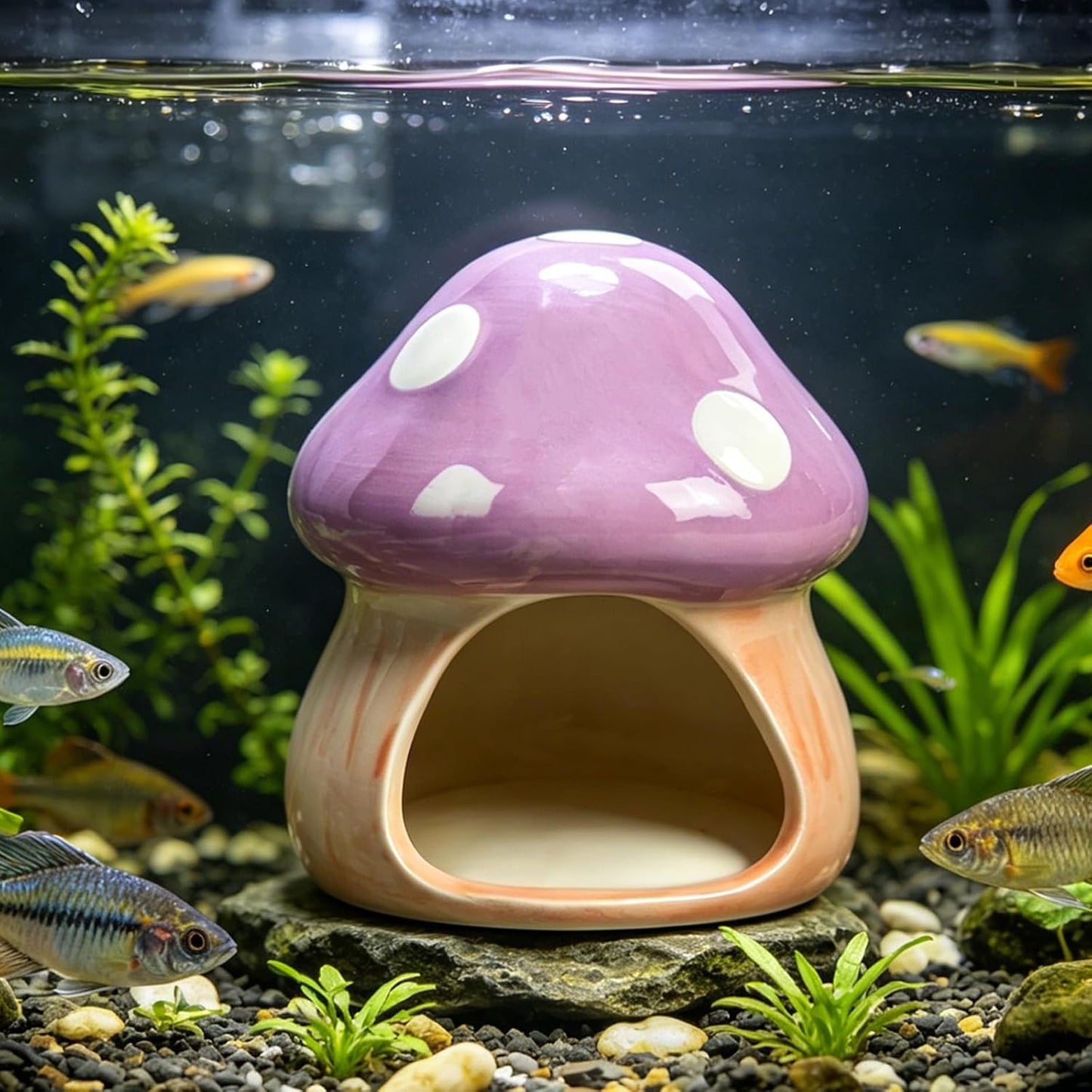 Ceramic Betta Fish Tank Accessories Decor Mushroom House Aquarium Decoration Hideout Cave / Purple