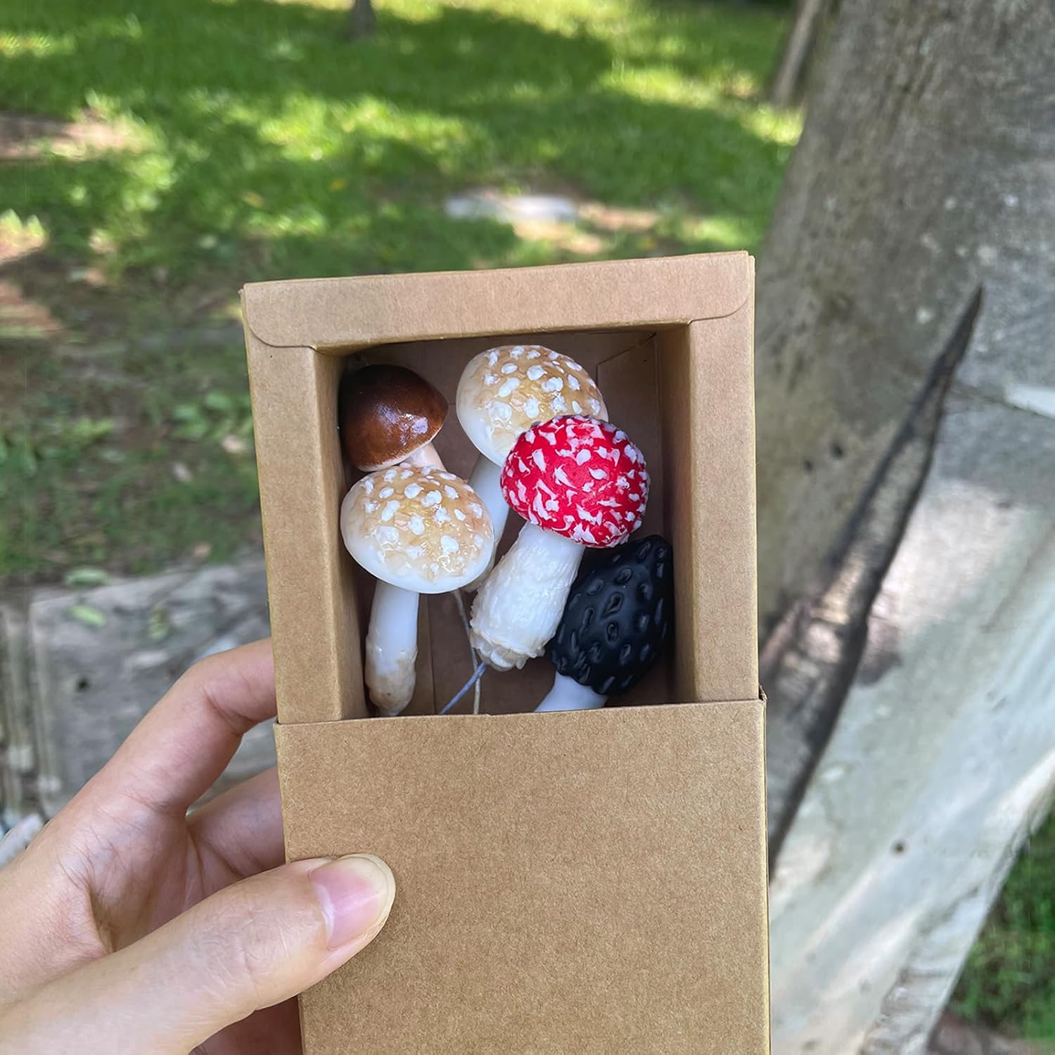 DIY Mini Mushrooms for Terrariums Potted Plant Holiday / Set of 5