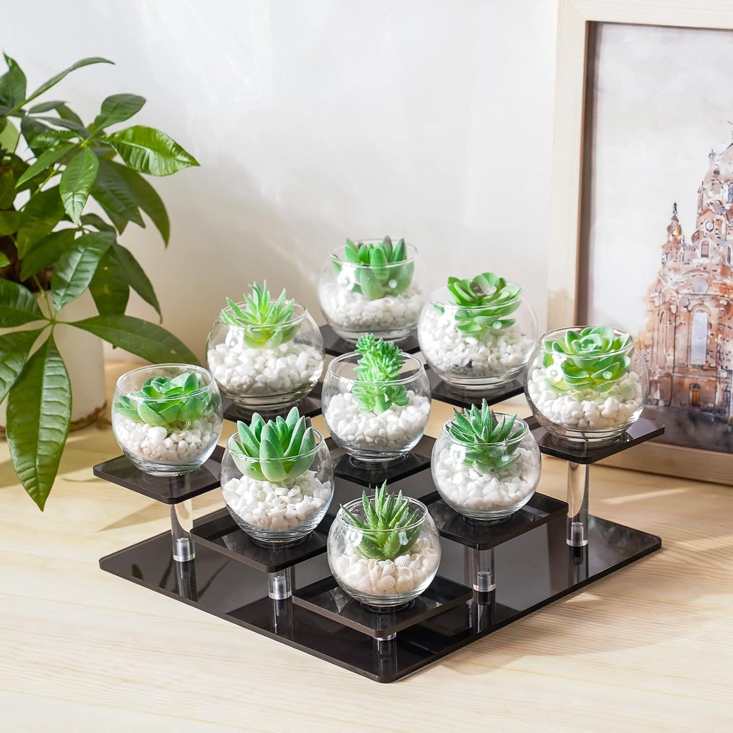Acrylic Display Stand for Mini Lego Sets Party Favors and Mini LEGO Botanical Collection / Black