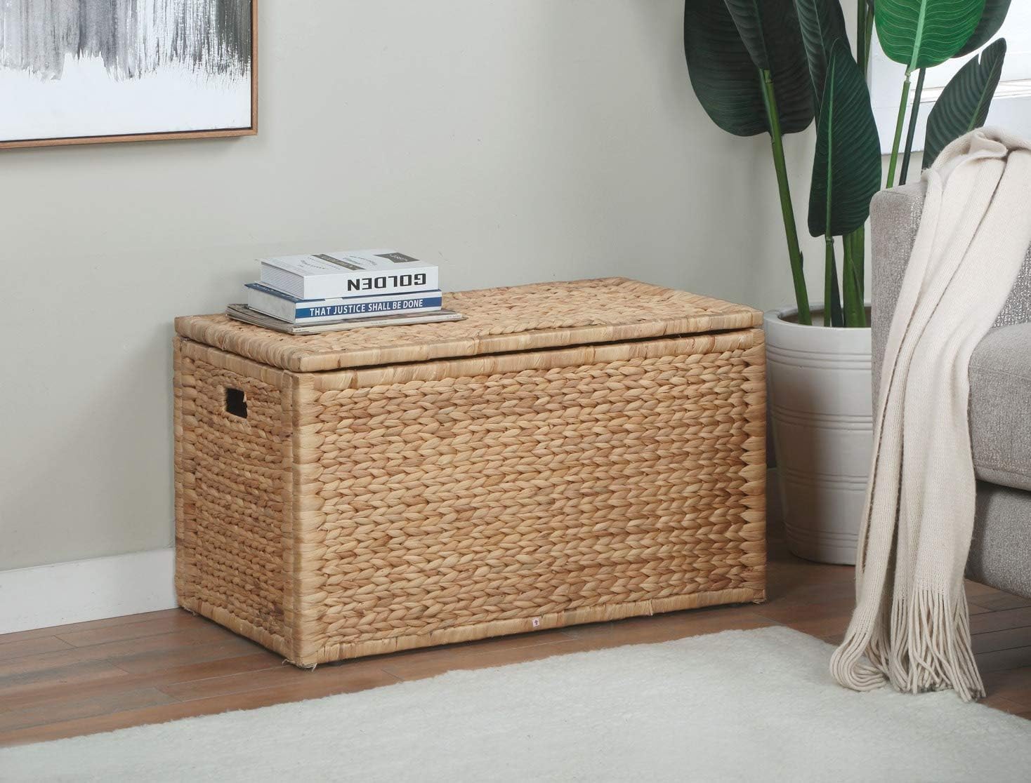 Metal Frame / Water Hyacinth Wicker Storage Trunk / Natural / 30 x 17.5