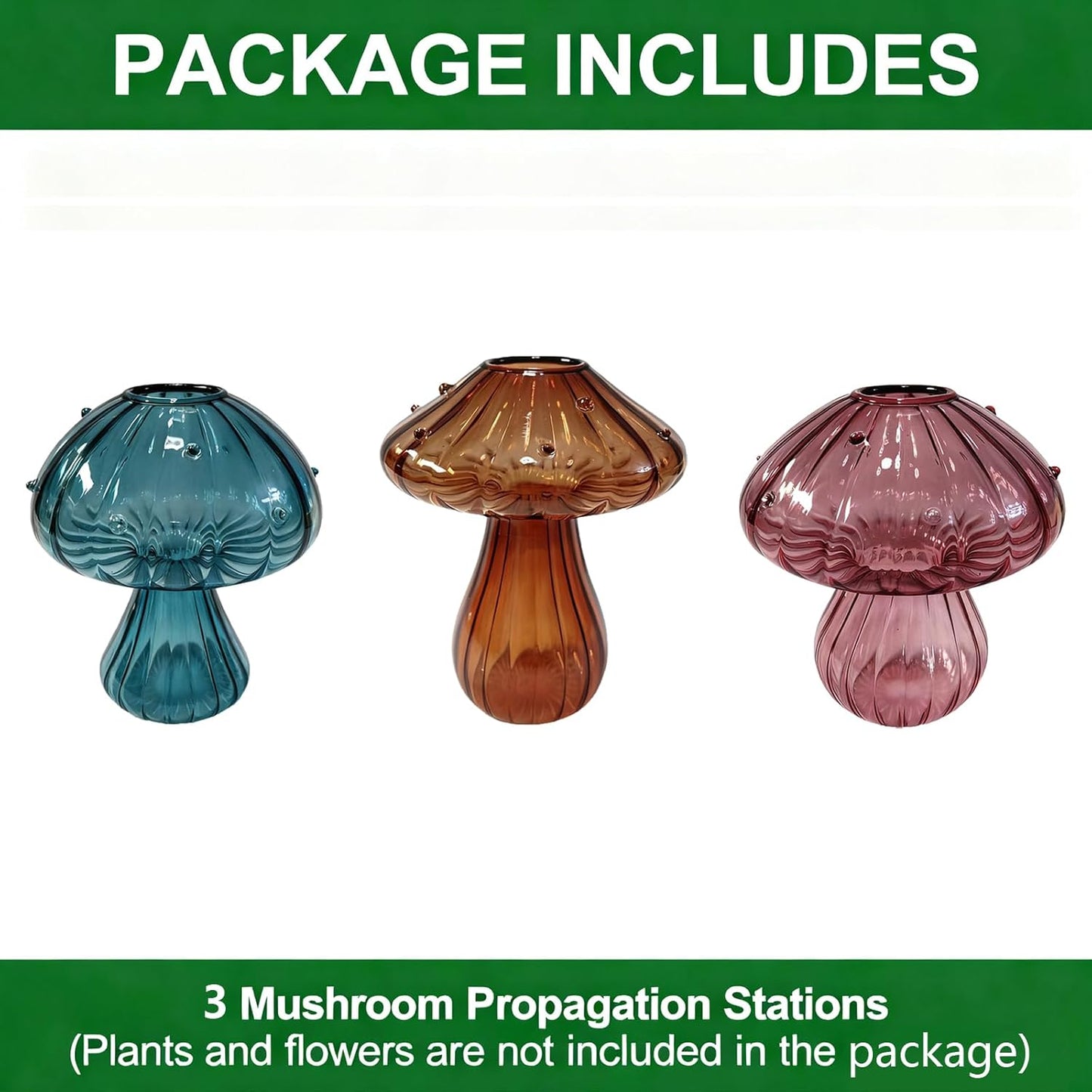 Glass Mushroom Propagation Planter / Set of 3