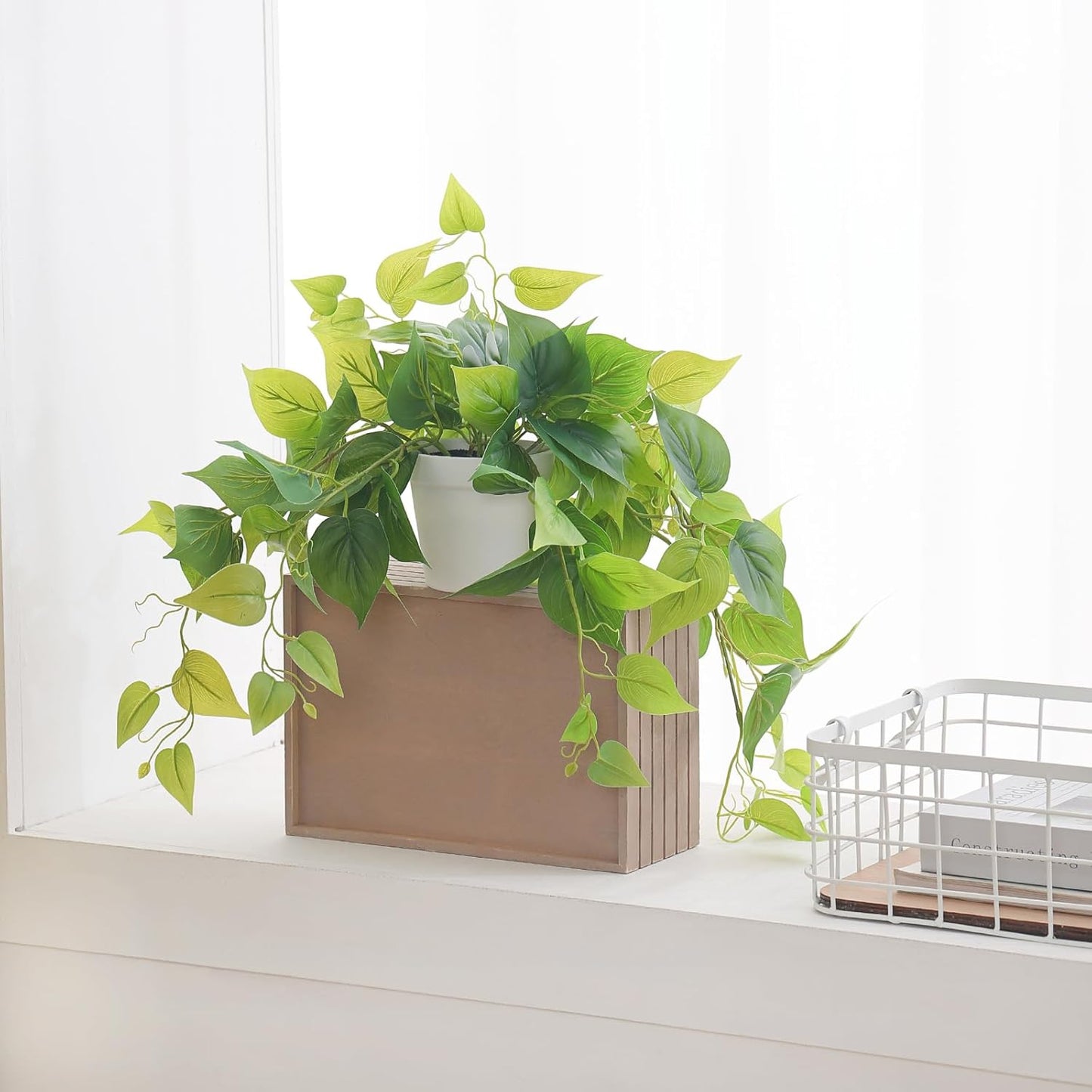 Fake Plants Artificial Scindapsus Aureus in Pots / White Scindapsus Aureus