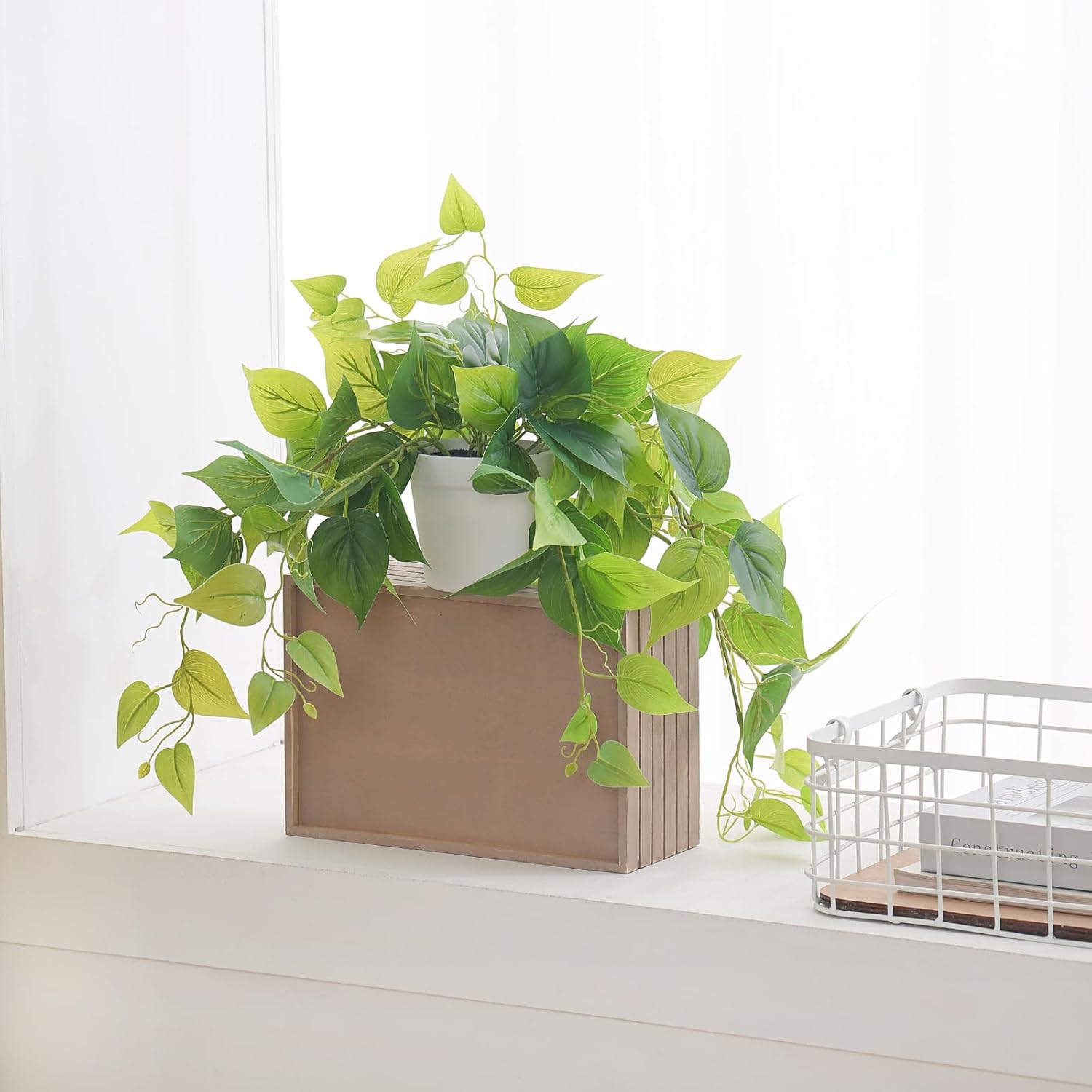 Fake Plants Artificial Scindapsus Aureus in Pots / White Scindapsus Aureus