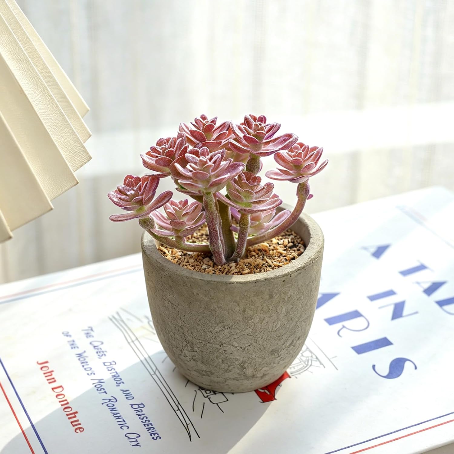 Artificial Plants Indoor Eucalyptus/Four-Leaf Clover/Succulent Light /Succulent / Purple / Set of 6