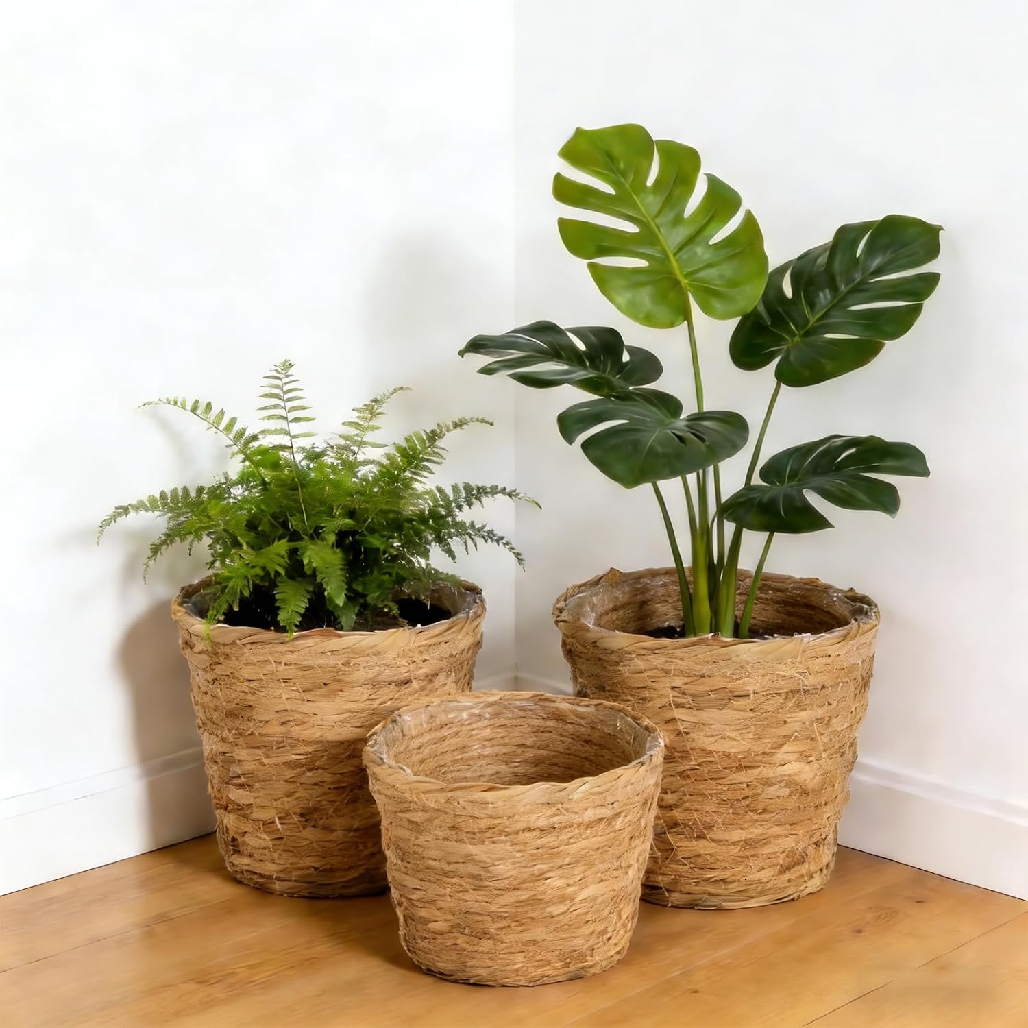 Wicker Hand Woven Plant Baskets / Set of 6