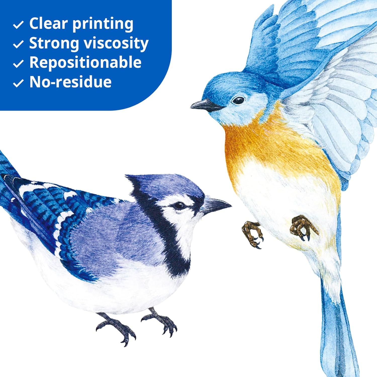 DS2-8042 Little Birds Wall Stickers Wall Decals Peel and Stick Removable Wall Stickers for Kids