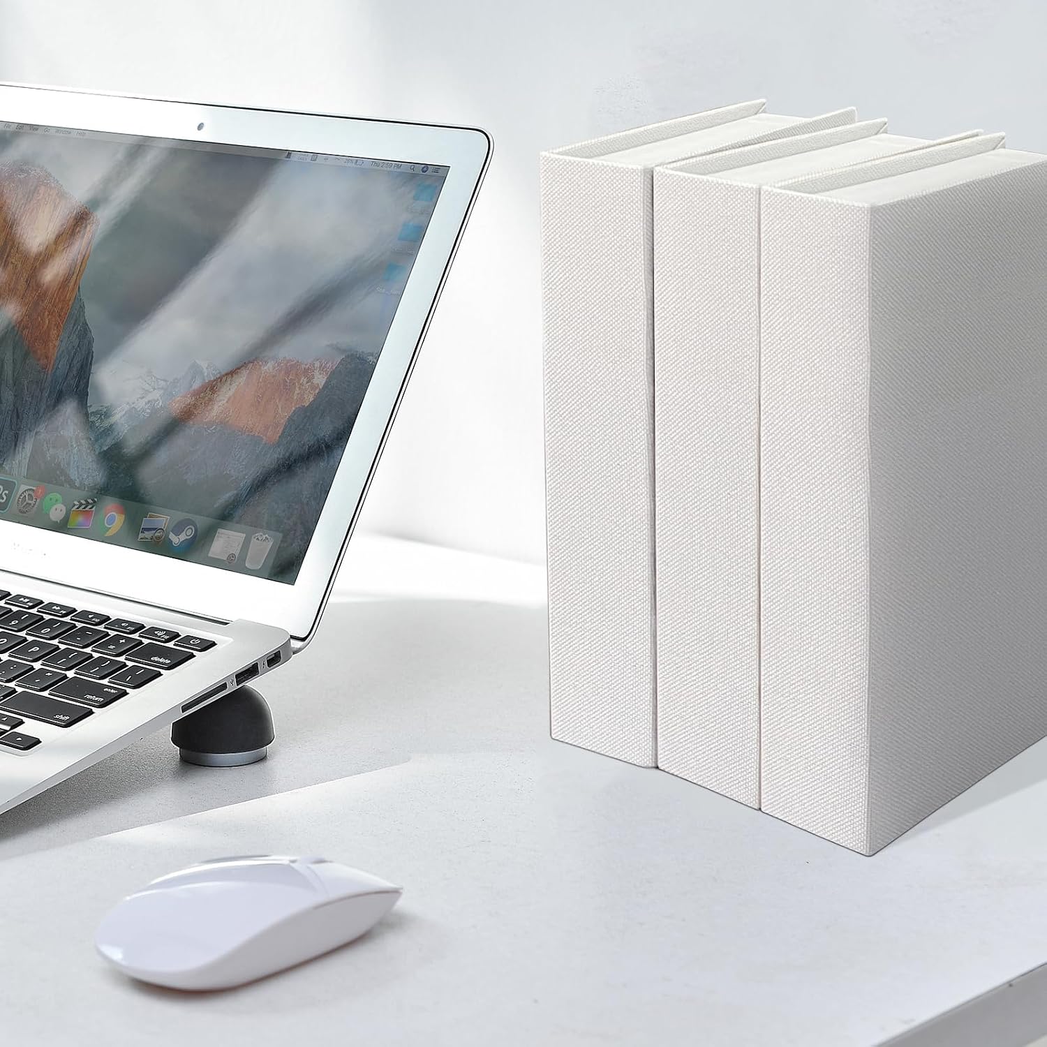 Faux Books for Decorative / White / Set of 3