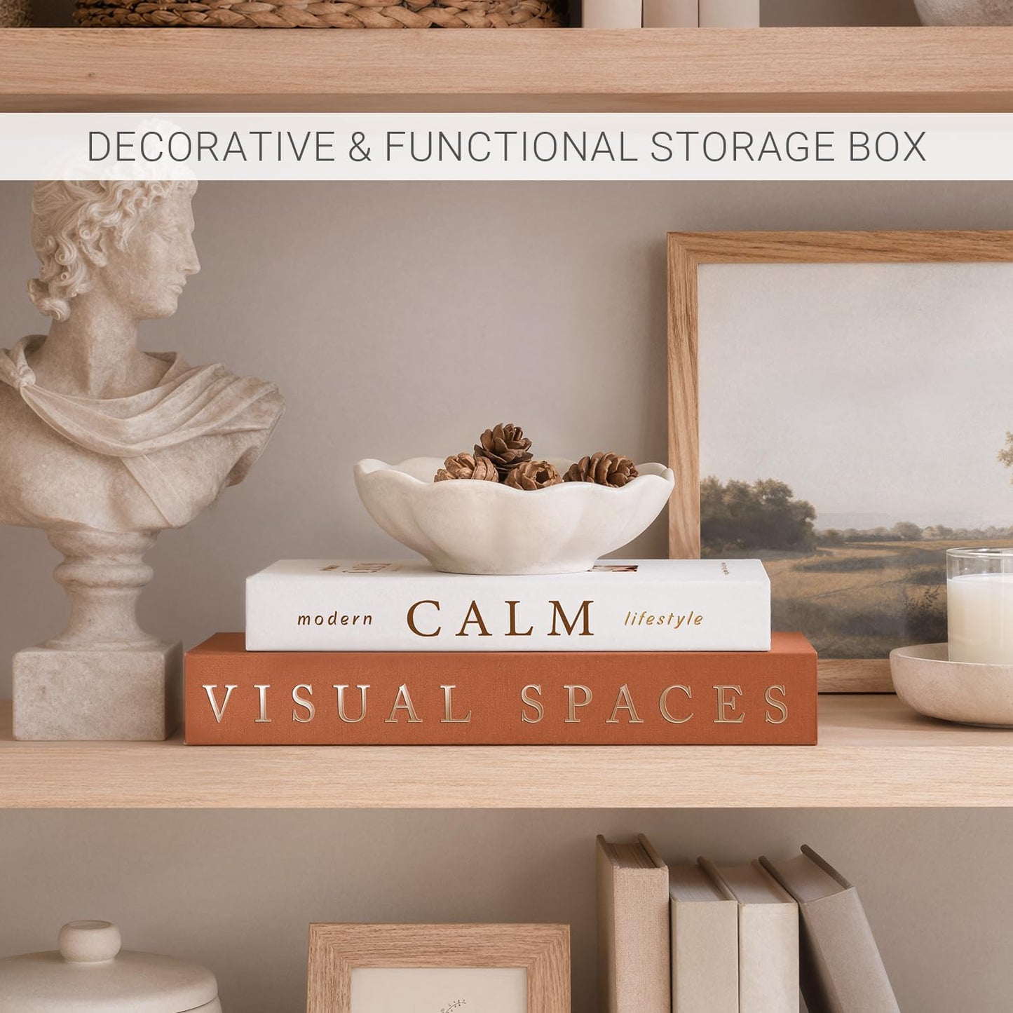 Aesthetic Faux/Fake Book Boxes Enhance Coffee Table / Set of 2