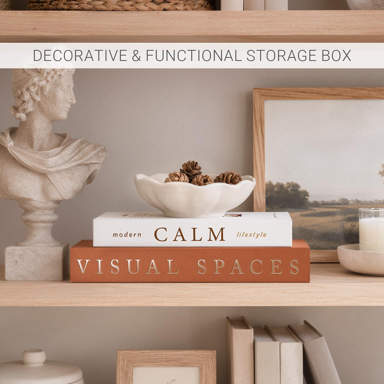Aesthetic Faux/Fake Book Boxes Enhance Coffee Table / Set of 2