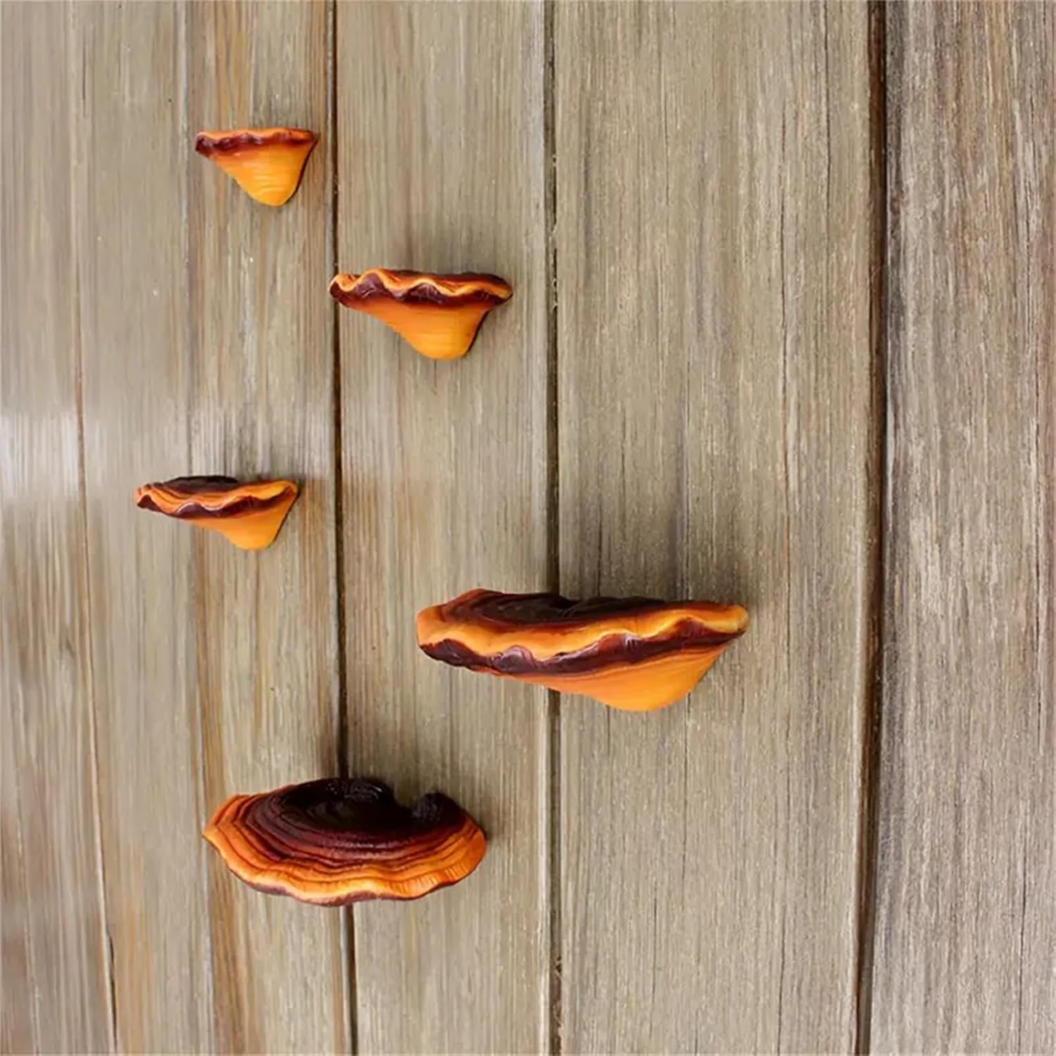 Small Floating Shelves / Set of 5