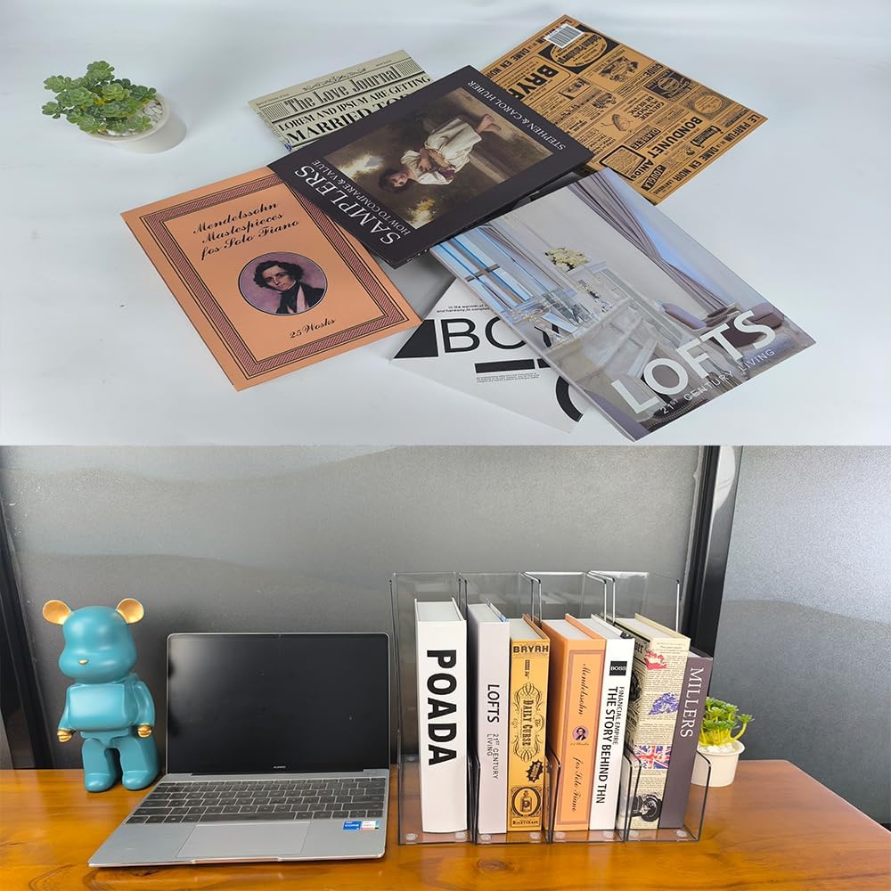 Clear Vertical File Holder, 4 pack, for Home Office | Clear plastic Magazine Organizer, 2-pack. Multi-purpose document