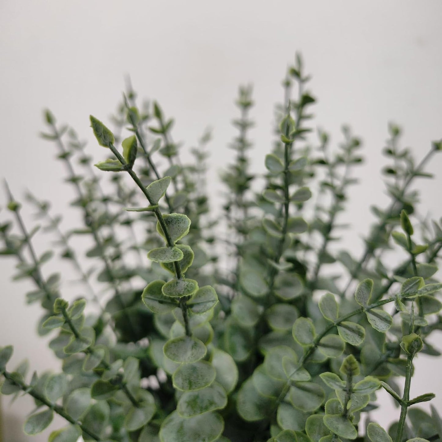 Artificial Eucalyptus Stems Fake Eucalyptus Greenery Branches for Floral Arrangements / Set of 50