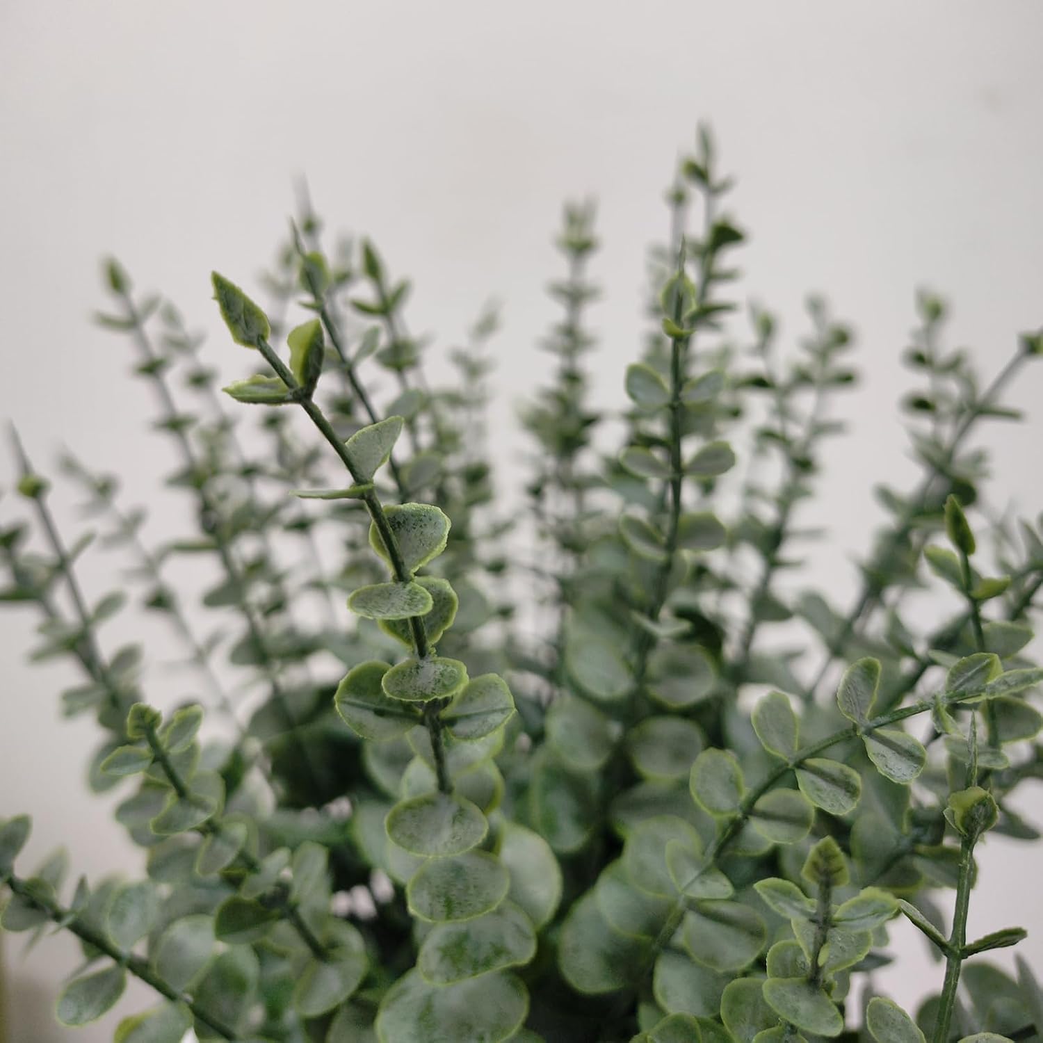Artificial Eucalyptus Stems Fake Eucalyptus Greenery Branches for Floral Arrangements / Set of 50