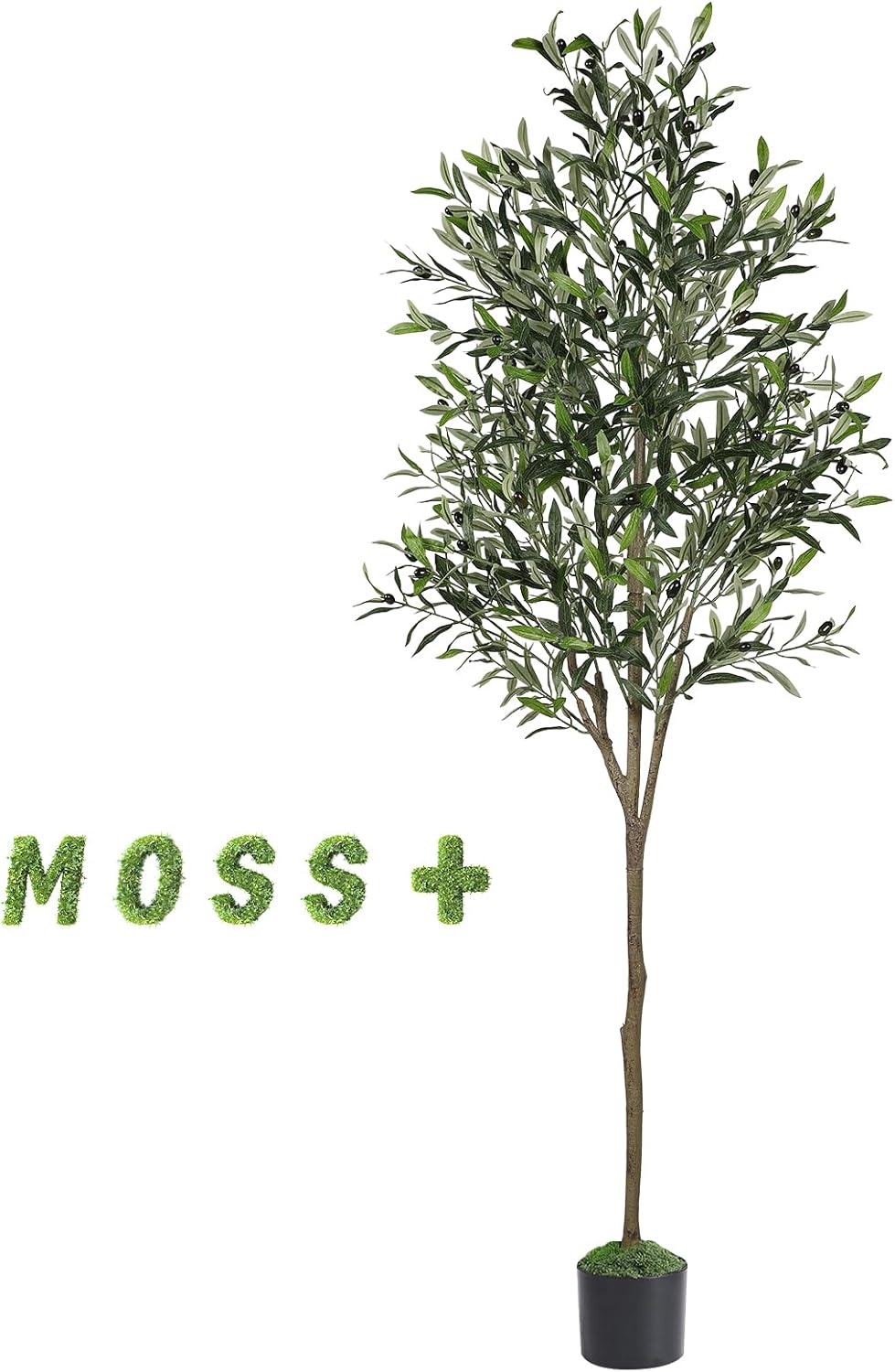 Olive Tree Artificial Indoor / 6ft / 6 Inch