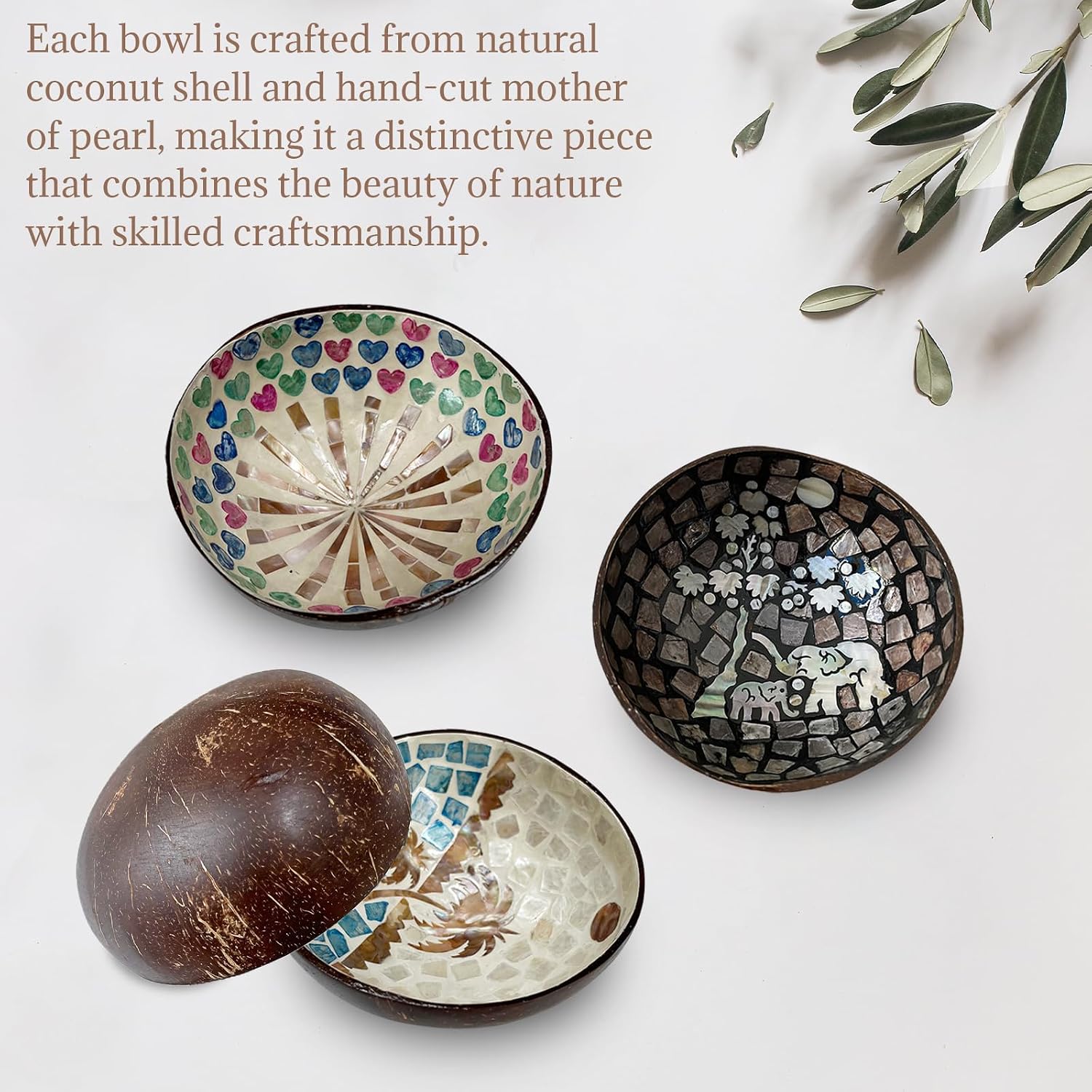 Distinctive Coconut Shell Container for Entryway / Coconut Trees
