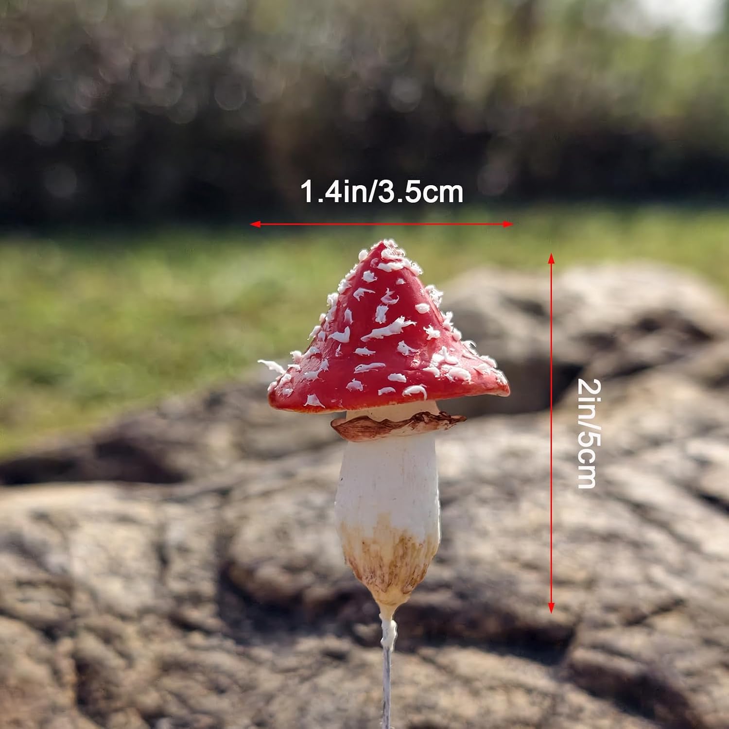 DIY Mini Mushrooms for Terrariums Potted Plant Holiday / Set of 5