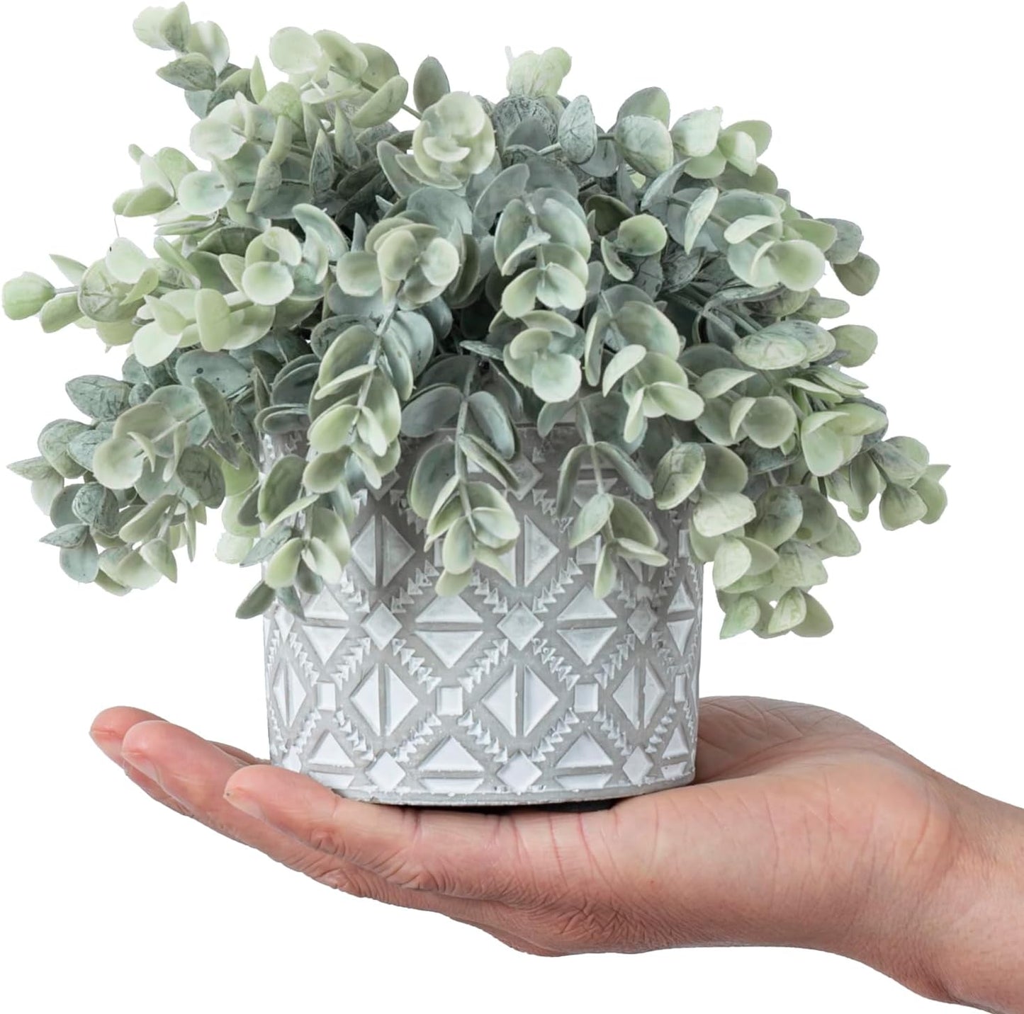 Artificial Eucalyptus Plant in Modern Gray Concrete Pots / Grey