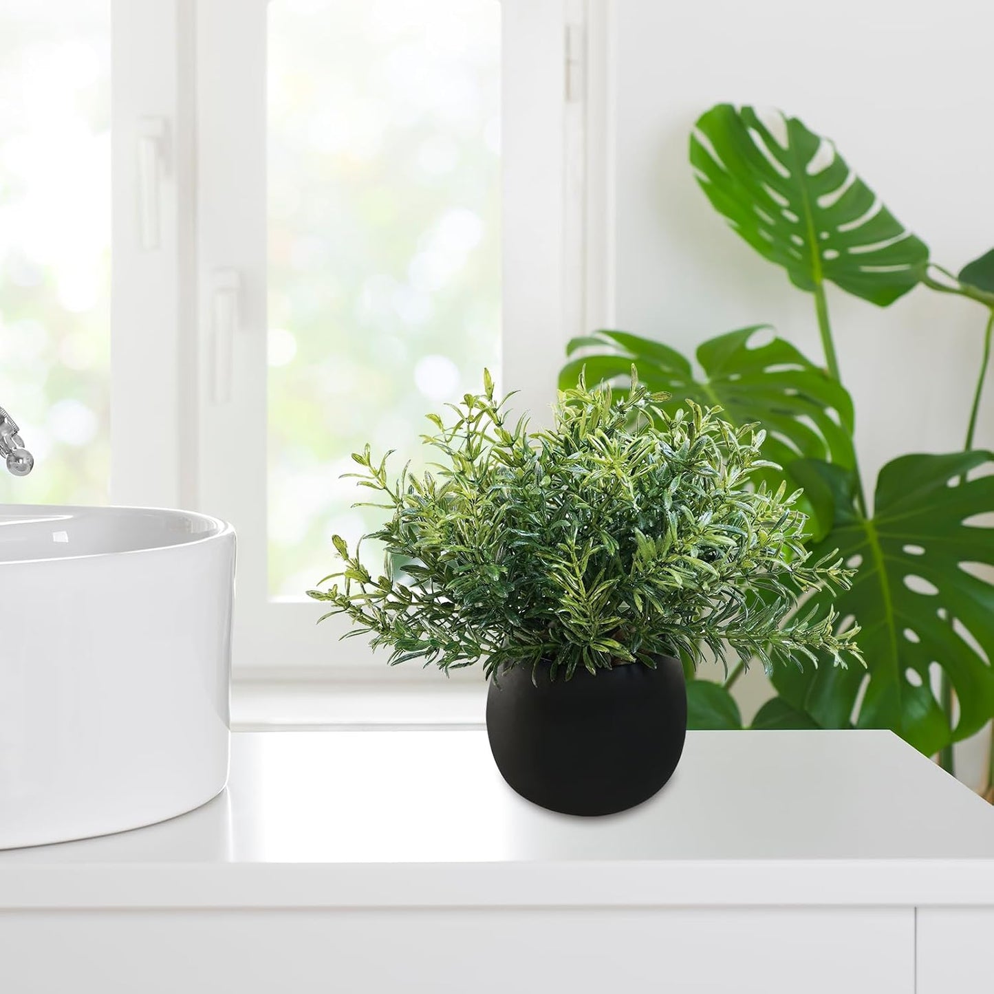 Small Potted Faux Plants 8" Artificial Eucalyptus Rosemary Boxwood Plants / Black Pots / Set of 3