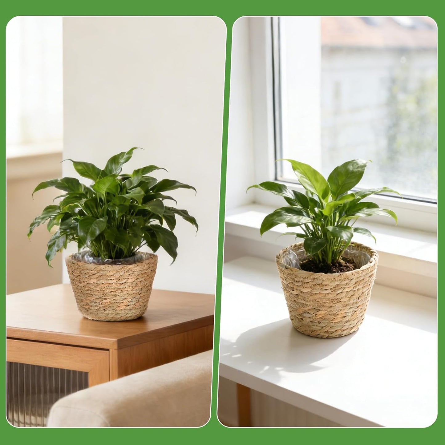 Wicker Flower Pots / Set of 10