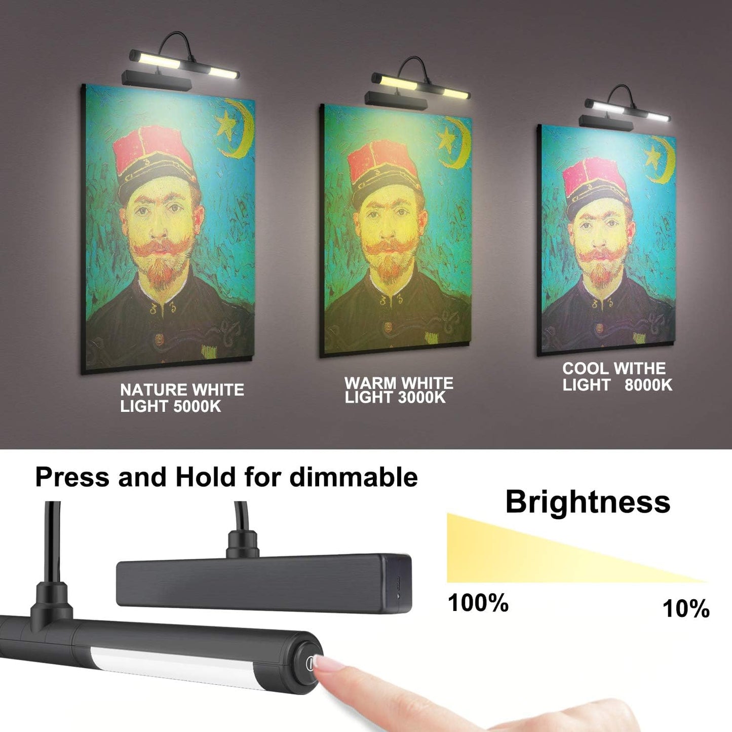 LUXSWAY Picture Lights for Paintings,Rechargeable Battery Wireless Art Light with Remote Control,Dimmable and Timer Off