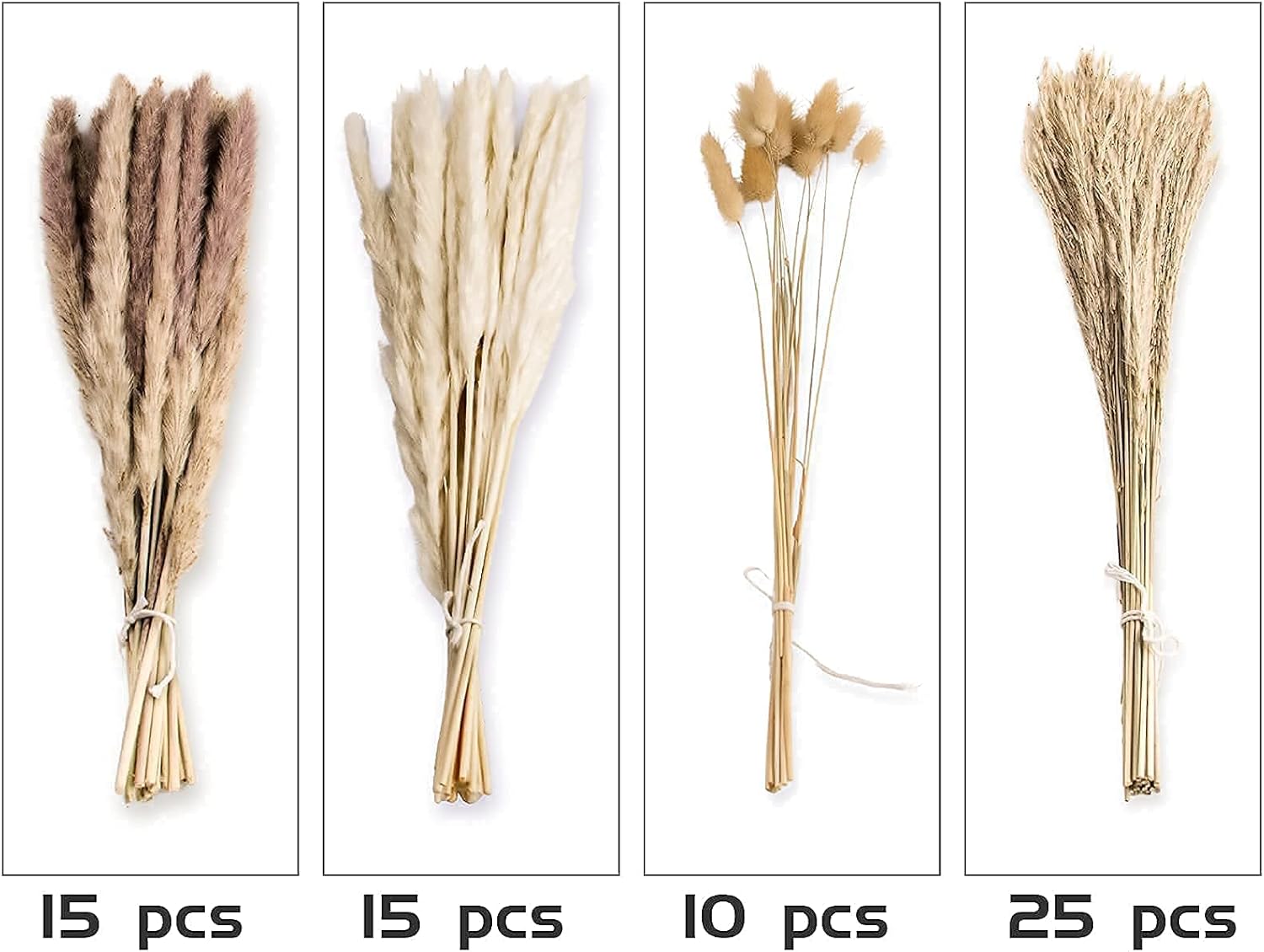 Reed Dried Grass and Bunny Tails Dried Flowers / Natural / Set of 65