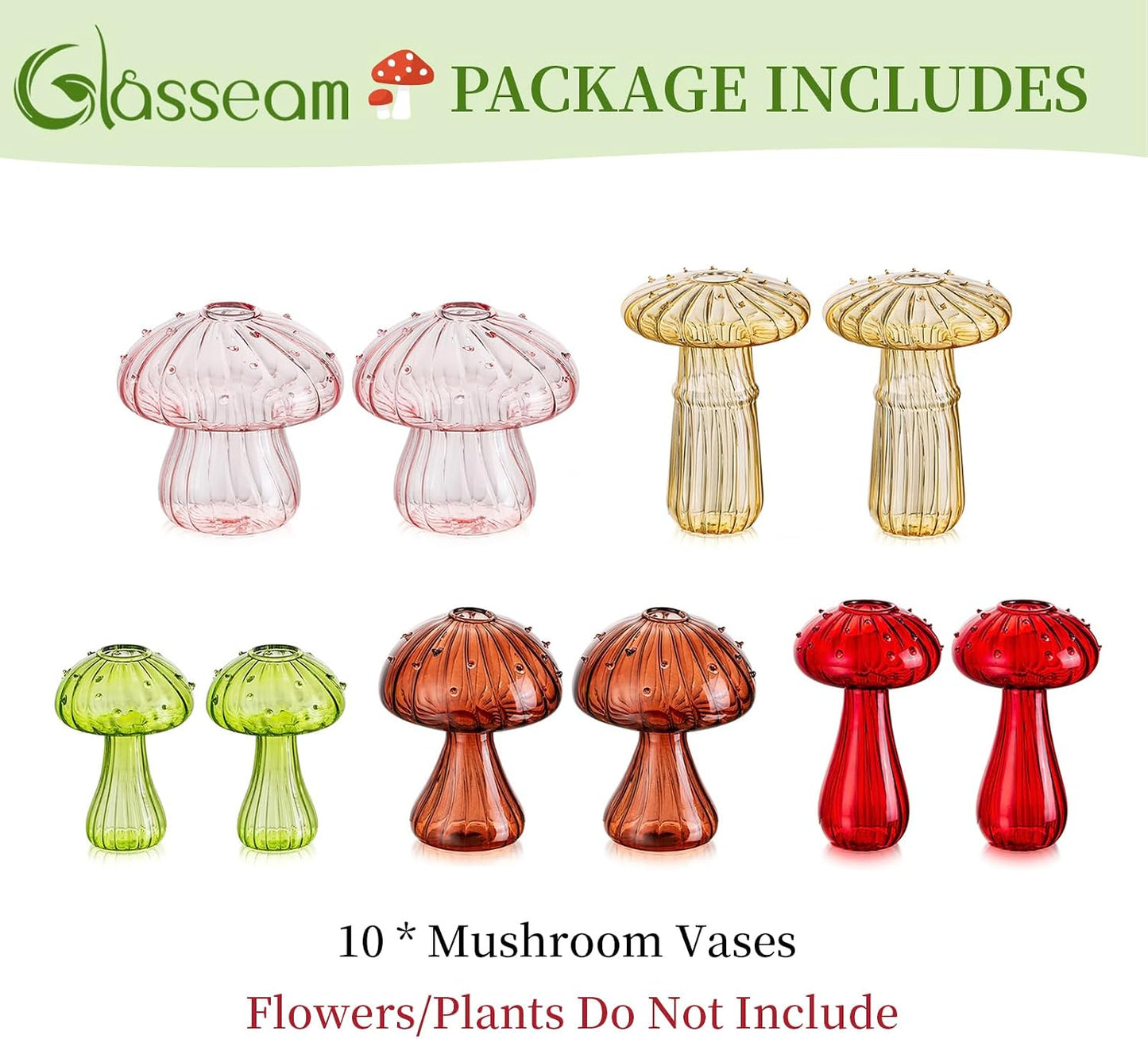 Glass Terrariums for Plants / Colorful / Set of 10