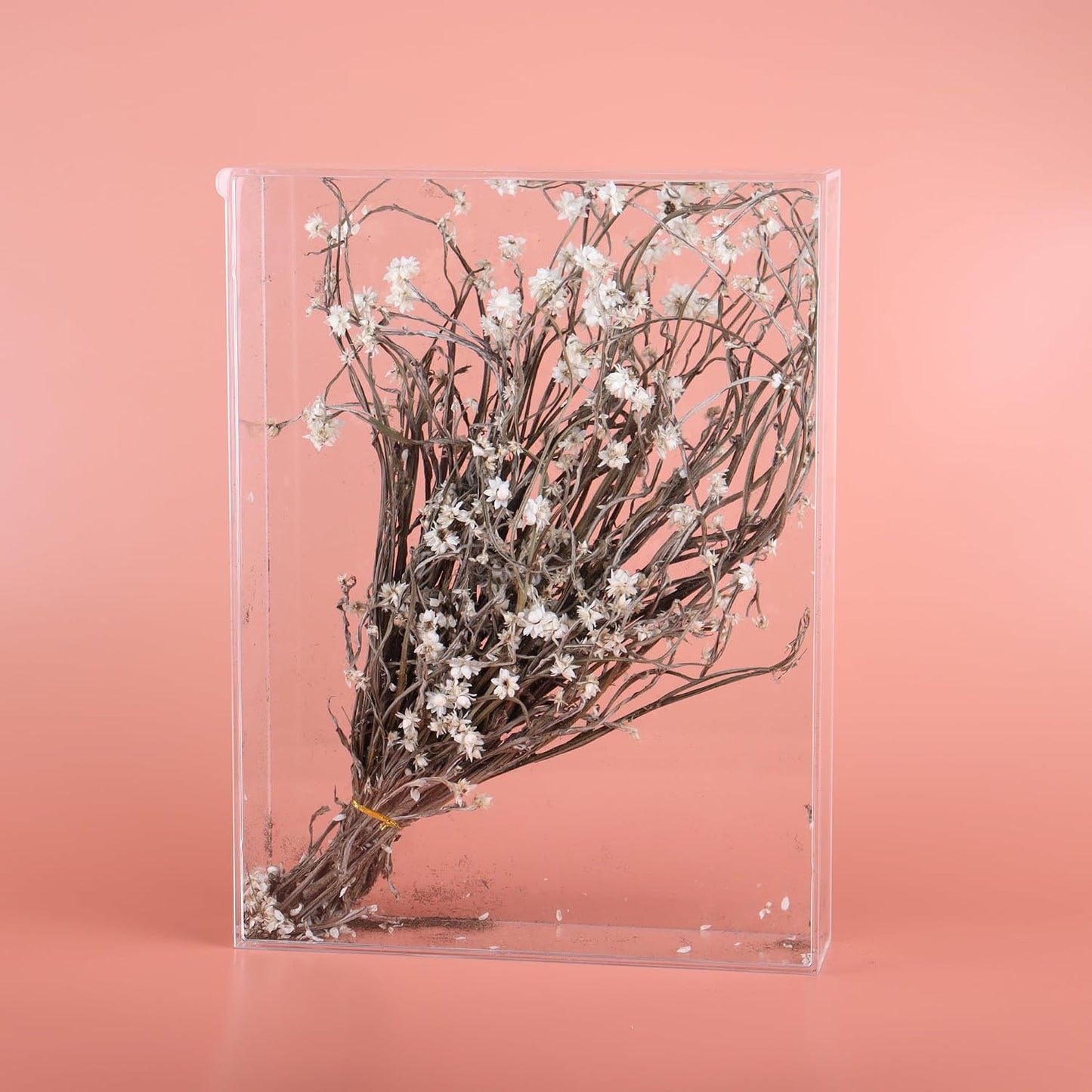9x12 Shadow Box Frame, DIY Tabletop Display Case, All Clear Memory Box for Dried Flowers/Kids