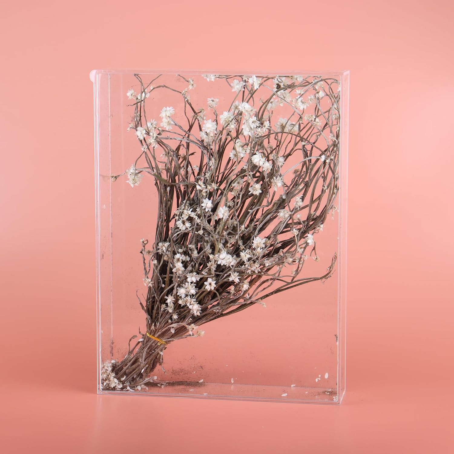9x12 Shadow Box Frame, DIY Tabletop Display Case, All Clear Memory Box for Dried Flowers/Kids