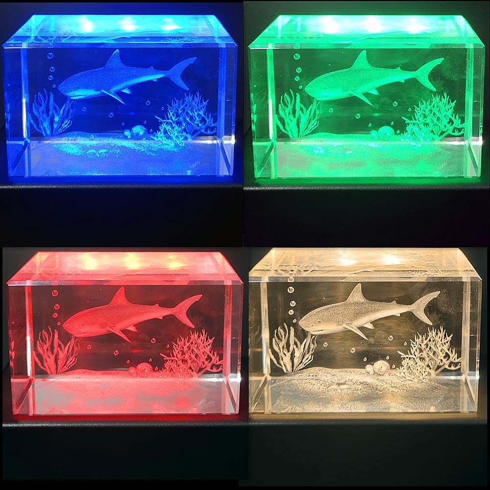 Lighted Up Stand Color Changing LED for 3D / Black / Small