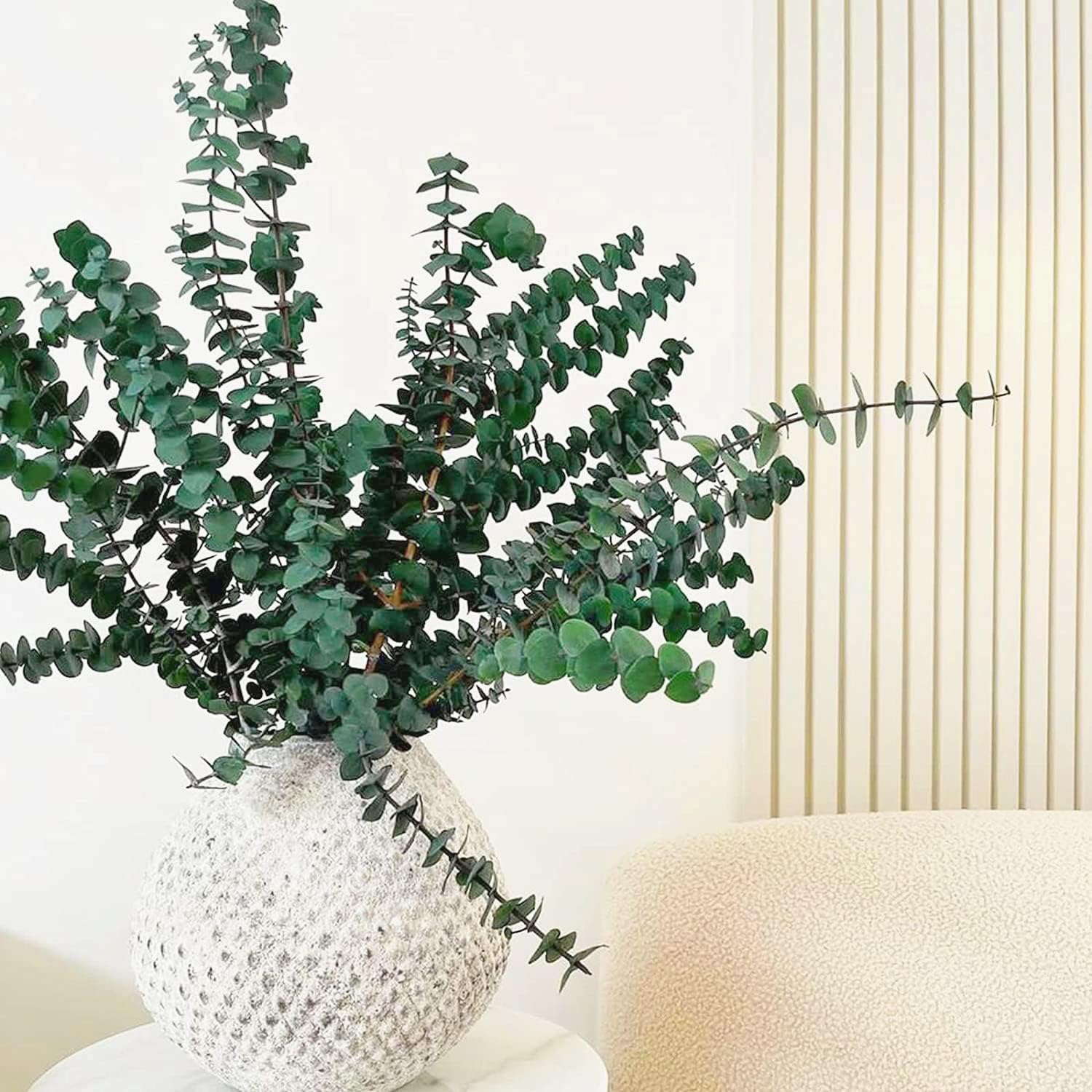 9oz 17" 100% Natural Fresh Eucalyptus Plant / Green / Set of 30