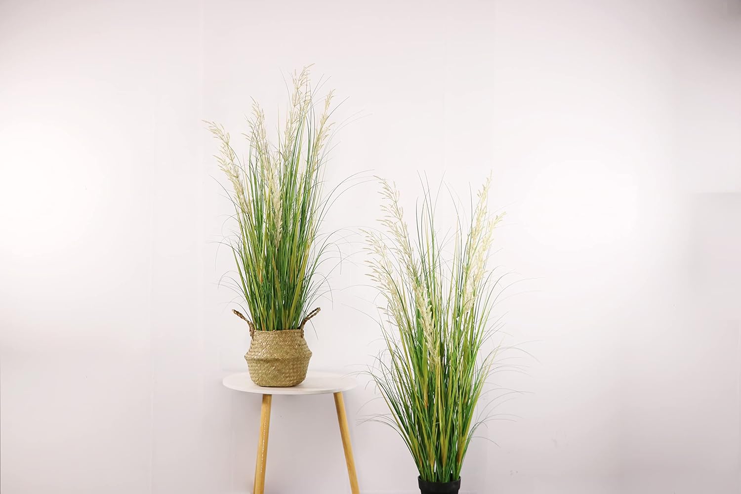 Artificial Plant / Faux House Plant in Pot / 4ft / 47 Inch / Set of 2