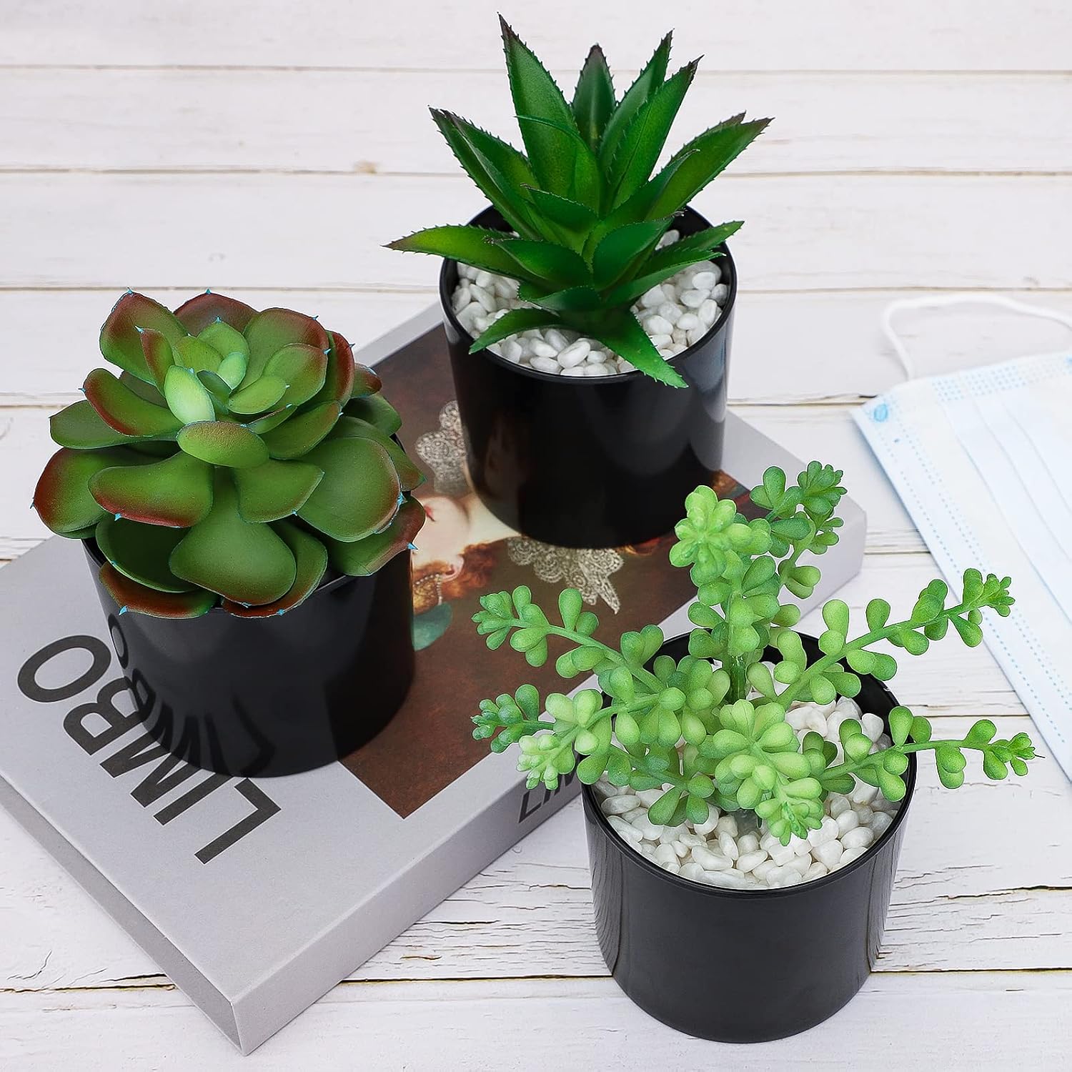 Artificial Succulents Faux Potted Plant Decor / Faux Plants-black