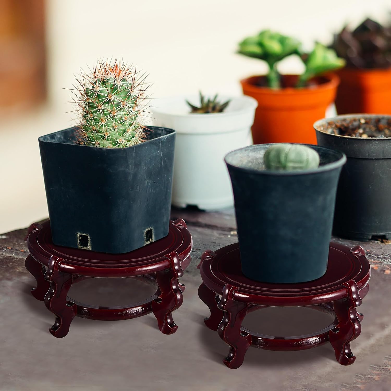 4 to in Wooden Plant Stands Indoor Chinese Oriental Plant Stand / 6 Inch / 12 Inch / Set of 2