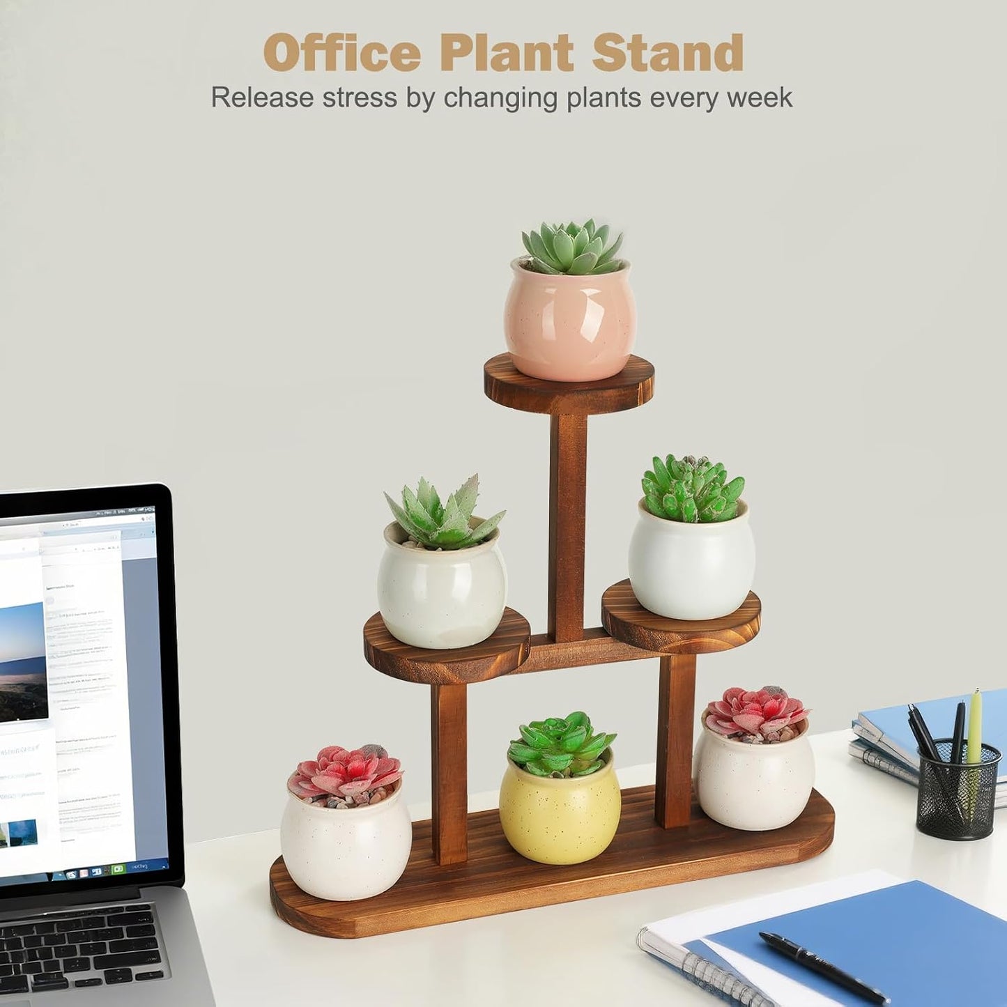 3 Tier Wood Table Top Plant Stand / Round Shape - 4 Tier