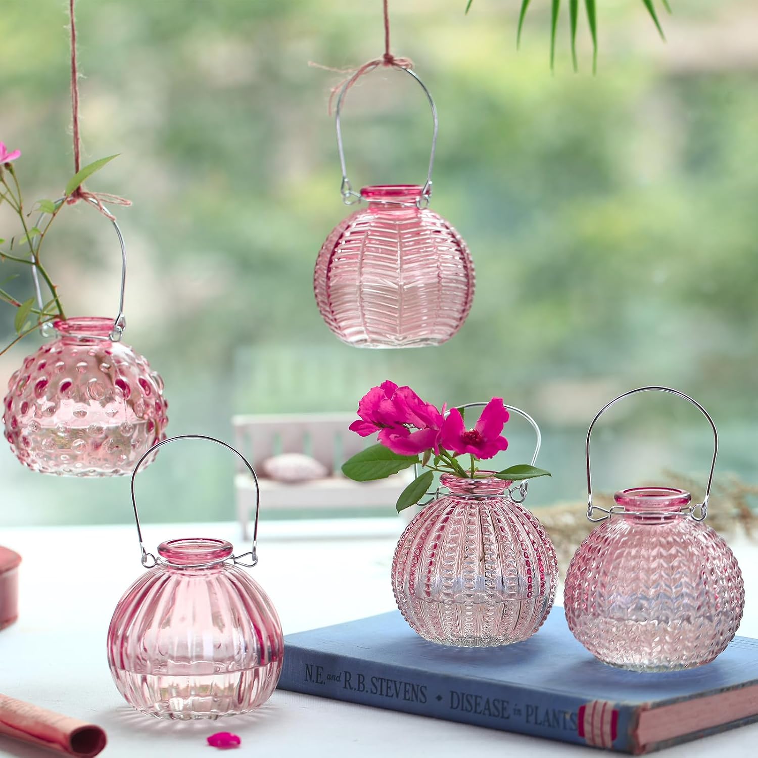 Single Glass Bud Vase Pink Vases for Centerpieces Decor Glass Flower Vase Bottle / Pink-ball Bottle
