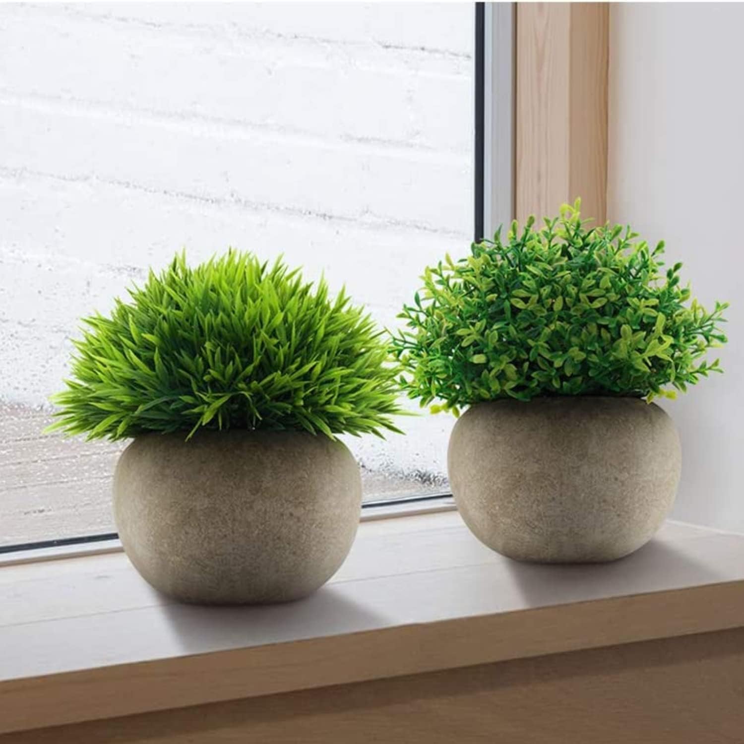 Farmhouse House Plant Office / Green