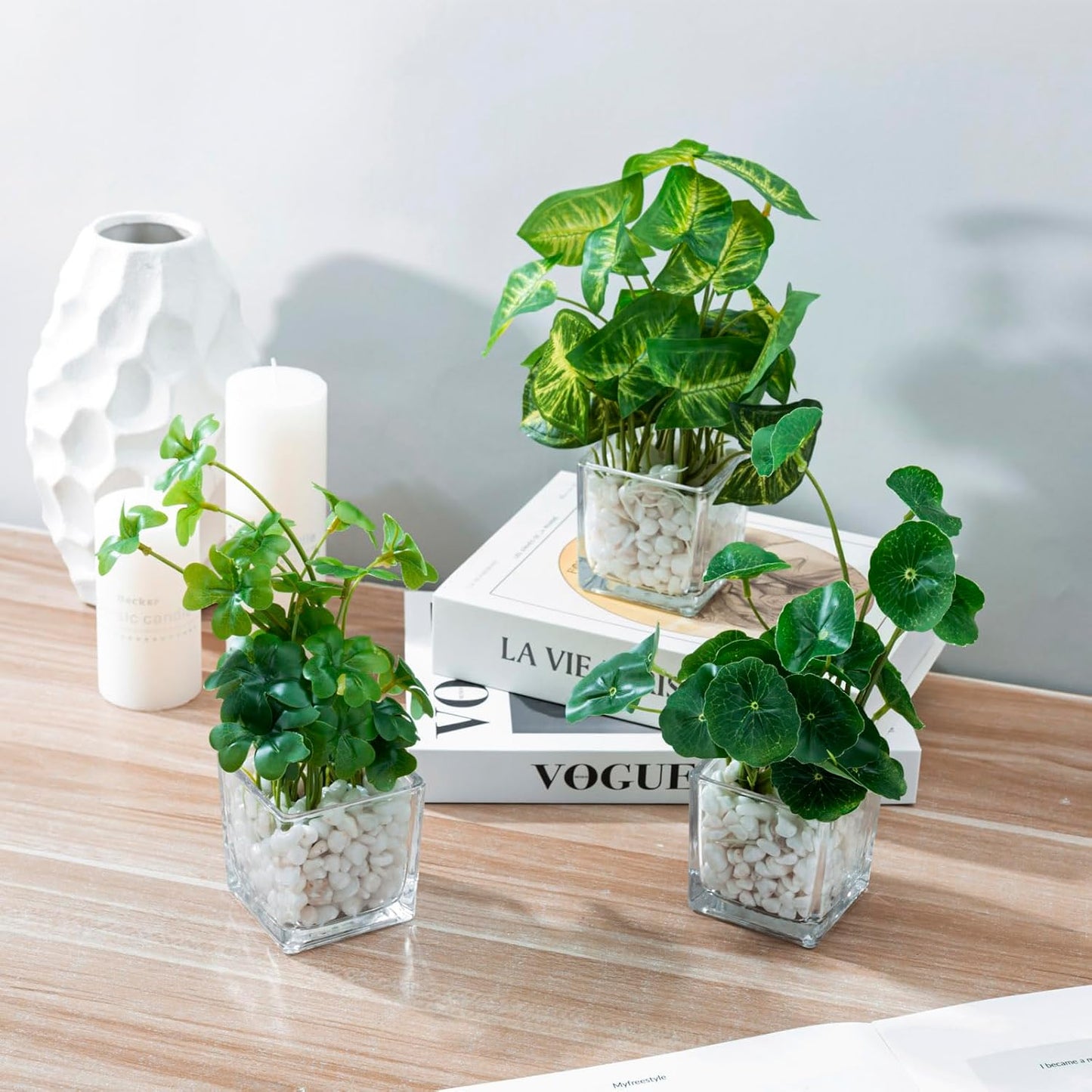 Artificial Clover and Taro Plants in Glass Vase / Clear / Set of 3