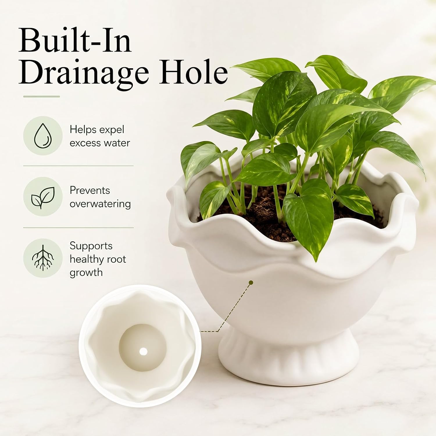 Ceramic Plant Pots Small Rustic Decorative Planter Home Decor Scalloped / 6.3in / Novel / White