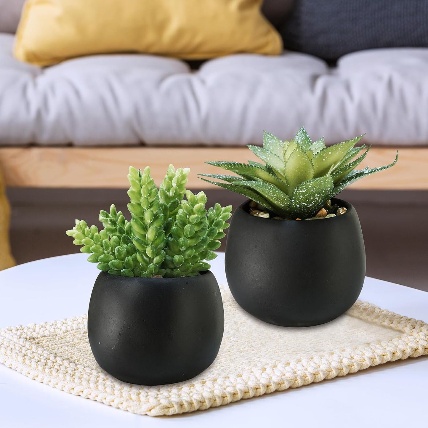 Artificial Succulents Plants in Black Cement Planters Faux Potted / Black Cement Pots / Set of 3