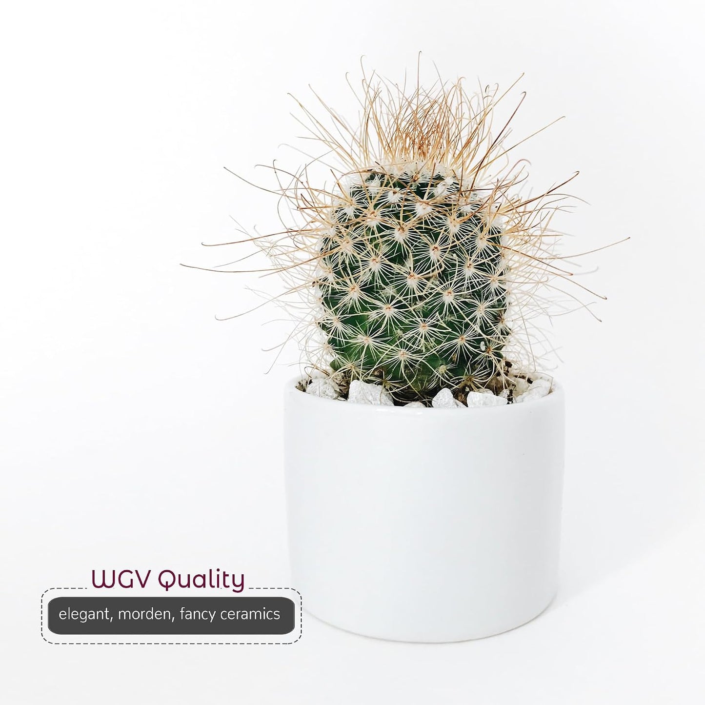 Matte Ceramic Cylinder Vase Width 6.5" Height 6 / 6.5 x 6 / H / White