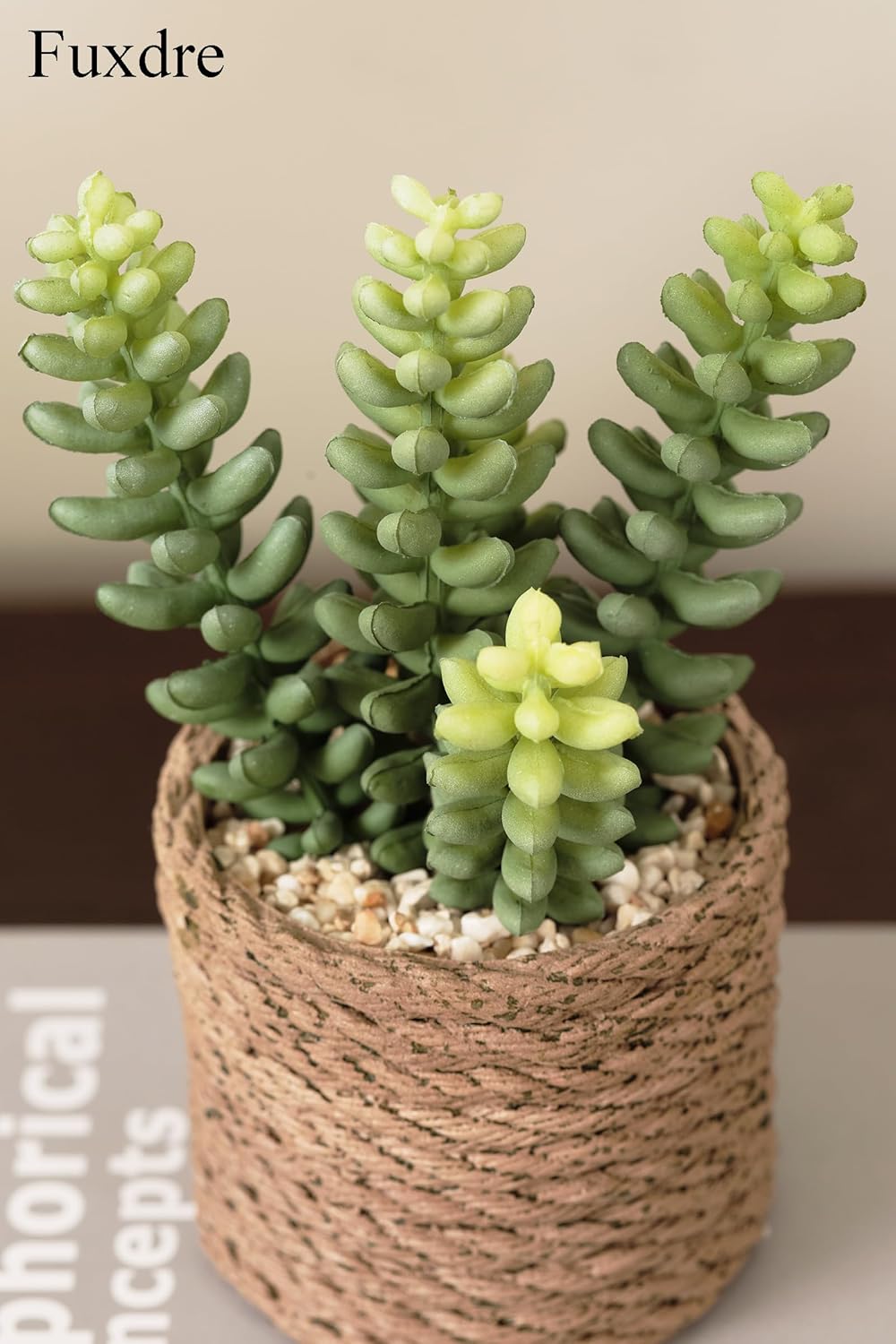 Artificial Succulent Plants in Vintage Plastic Pots / Succulent-d / Set of 3