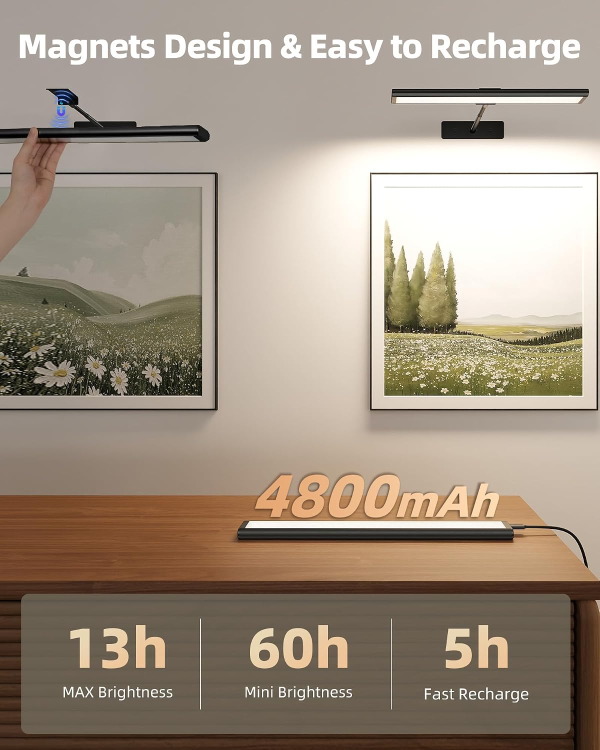 EZVALO Picture Light for Wall, 4800mAh Rechargeable Wireless Built-in Battery Lights for Painting, 16'' Lights with IR