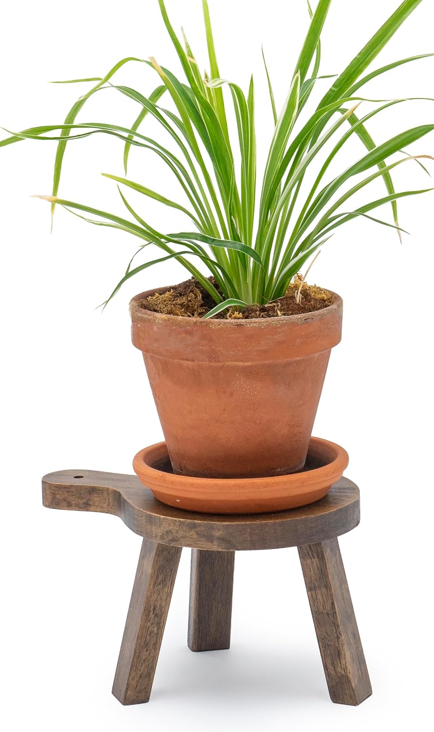 Tall Mini Round Boho Chic Tabletop Sustainable Rubberwood Stool Display Stand / 6 Inch