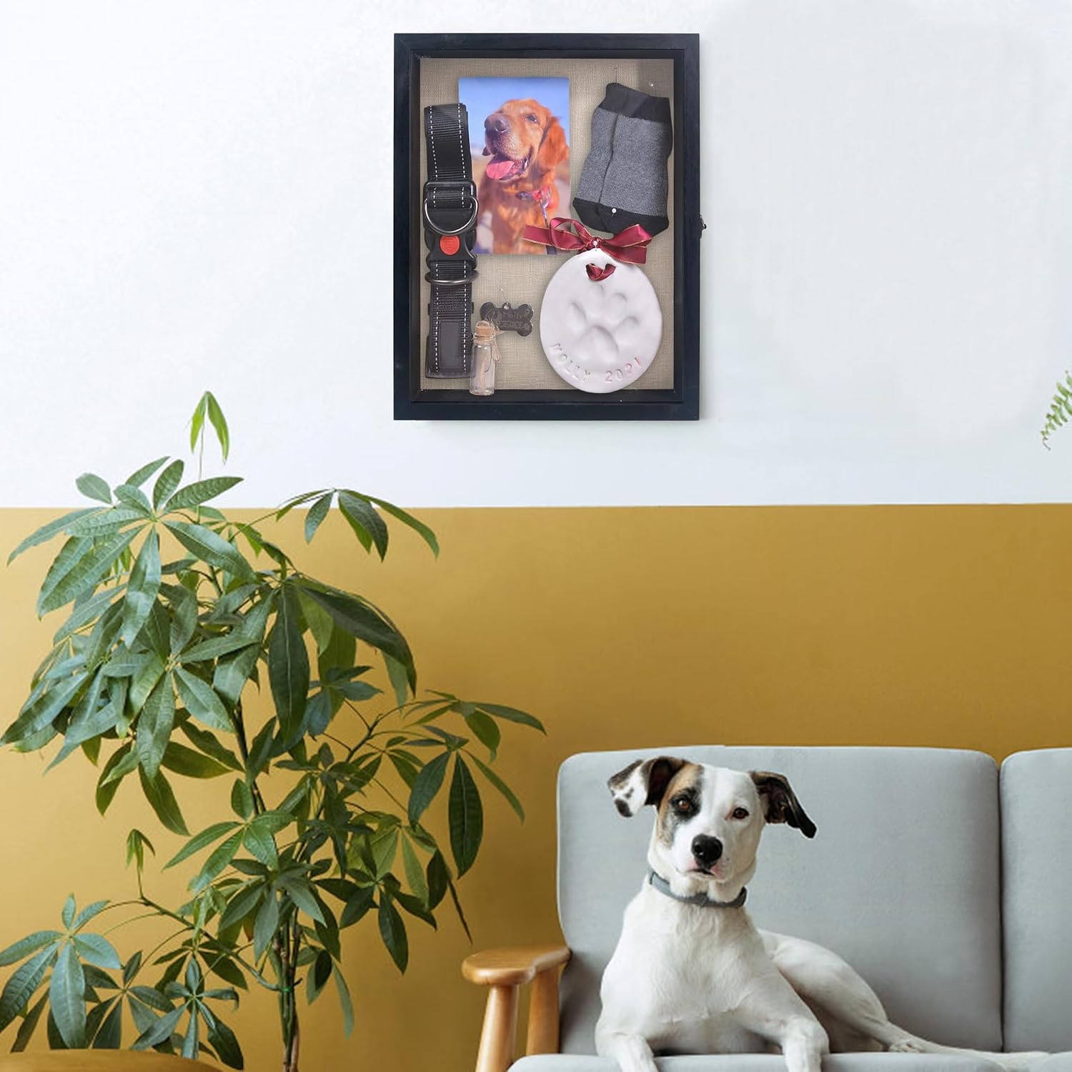 11x14 Pet Memorial Shadow Box with Real Glass for Loss of Dog | Black Pet Memorial Dispaly Case Picture Frame for Dogs