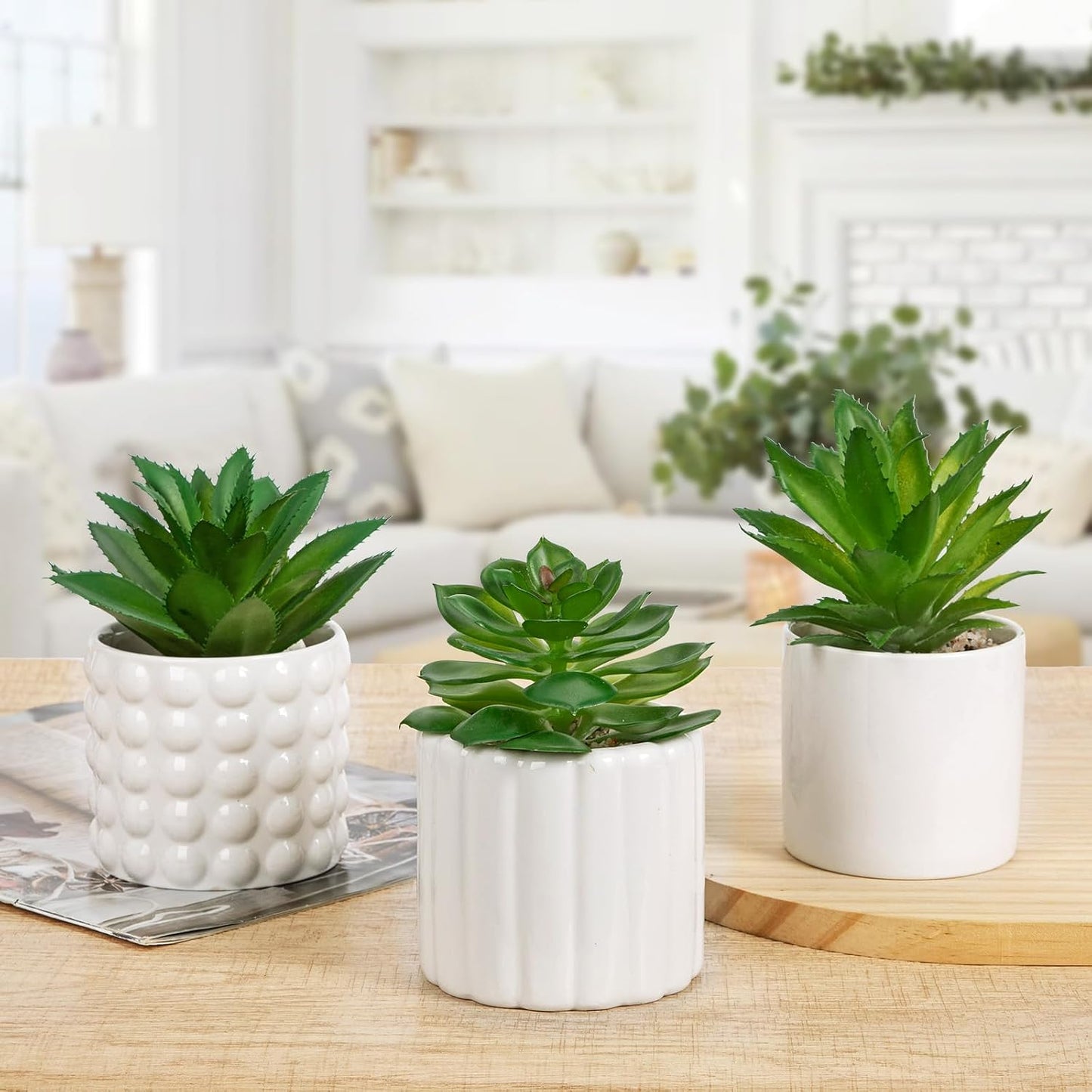 Succulents Plants Artificial in Ceramic Pots / White / Set of 3