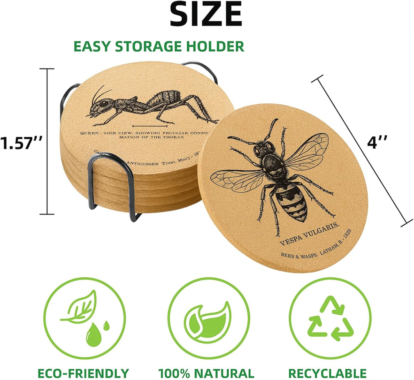 Holder / Coasters for Drinks / Insects / Set of 6