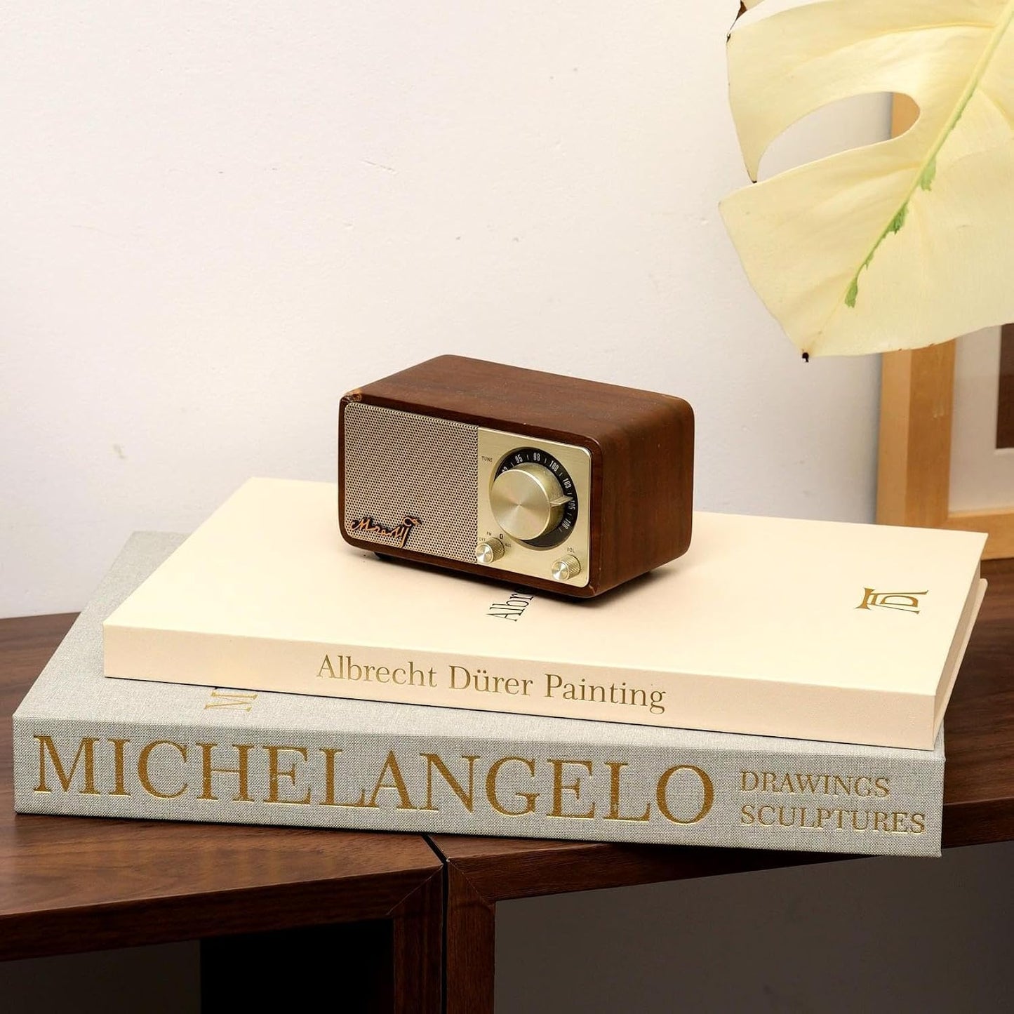 Fake/Faux Book Boxes / Set of 2